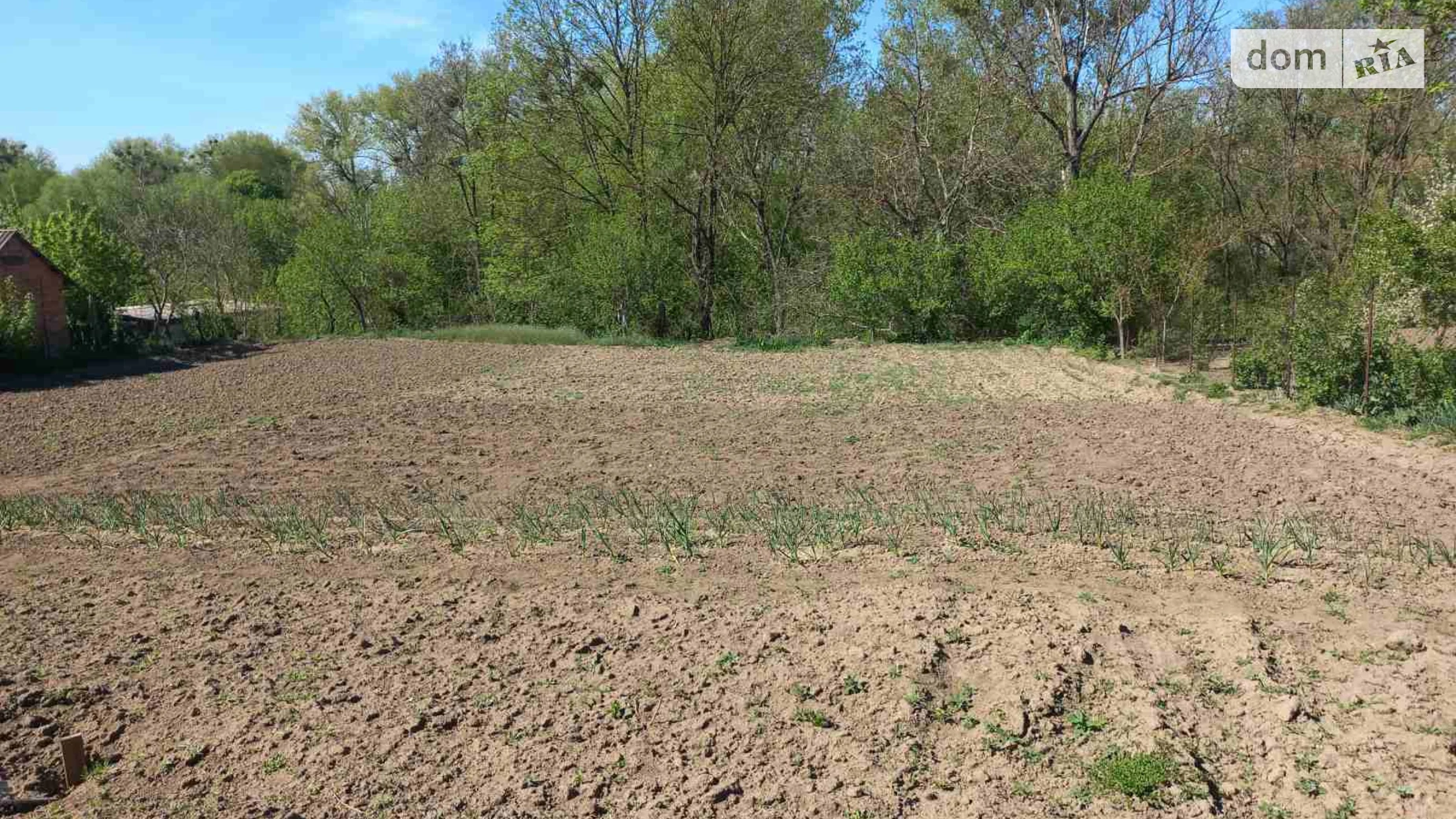 Продается одноэтажный дом 80 кв. м с верандой, цена: 12000 $ - фото 4