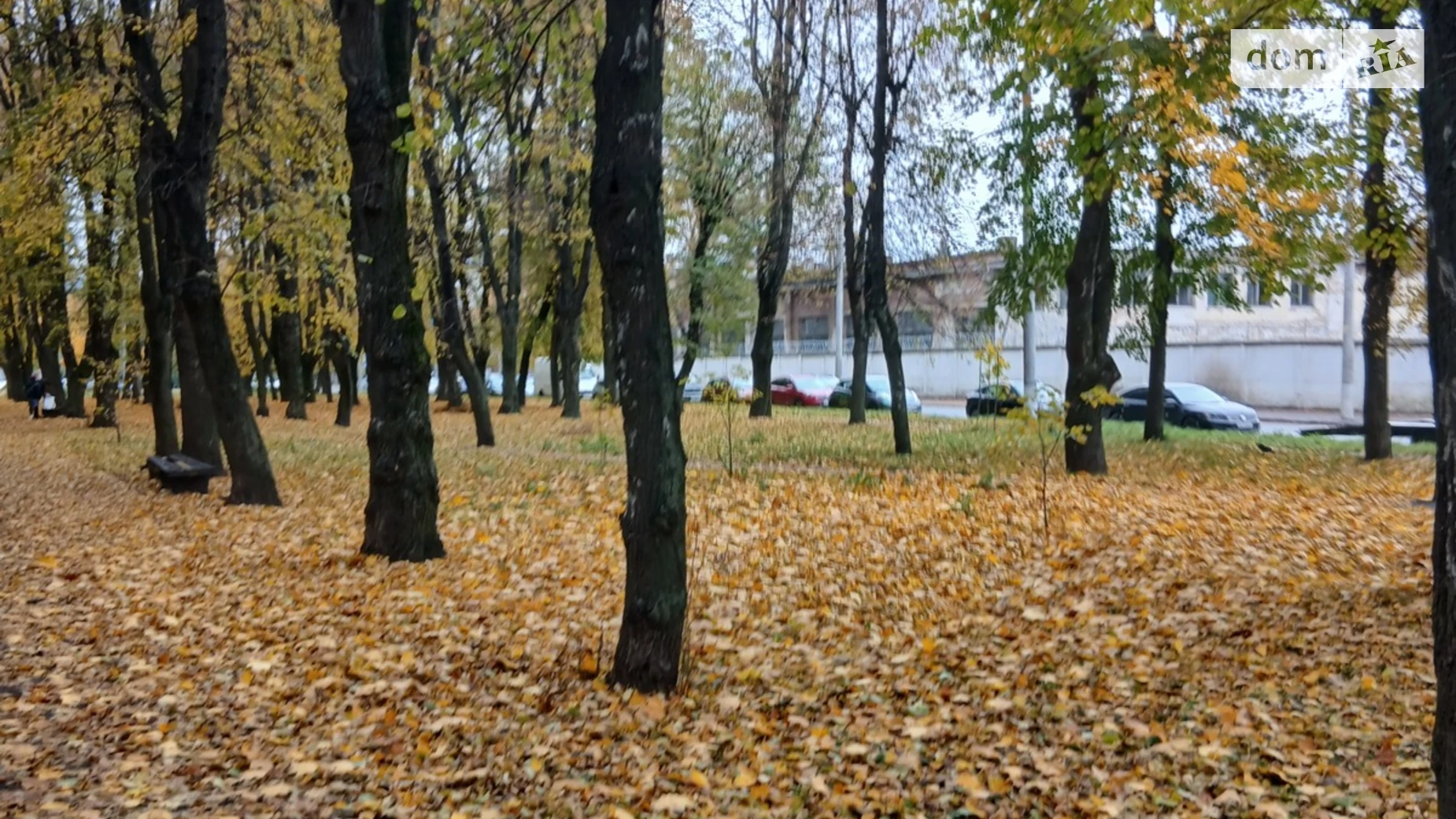 Продается земельный участок 45 соток в Хмельницкой области, цена: 180000 $ - фото 4