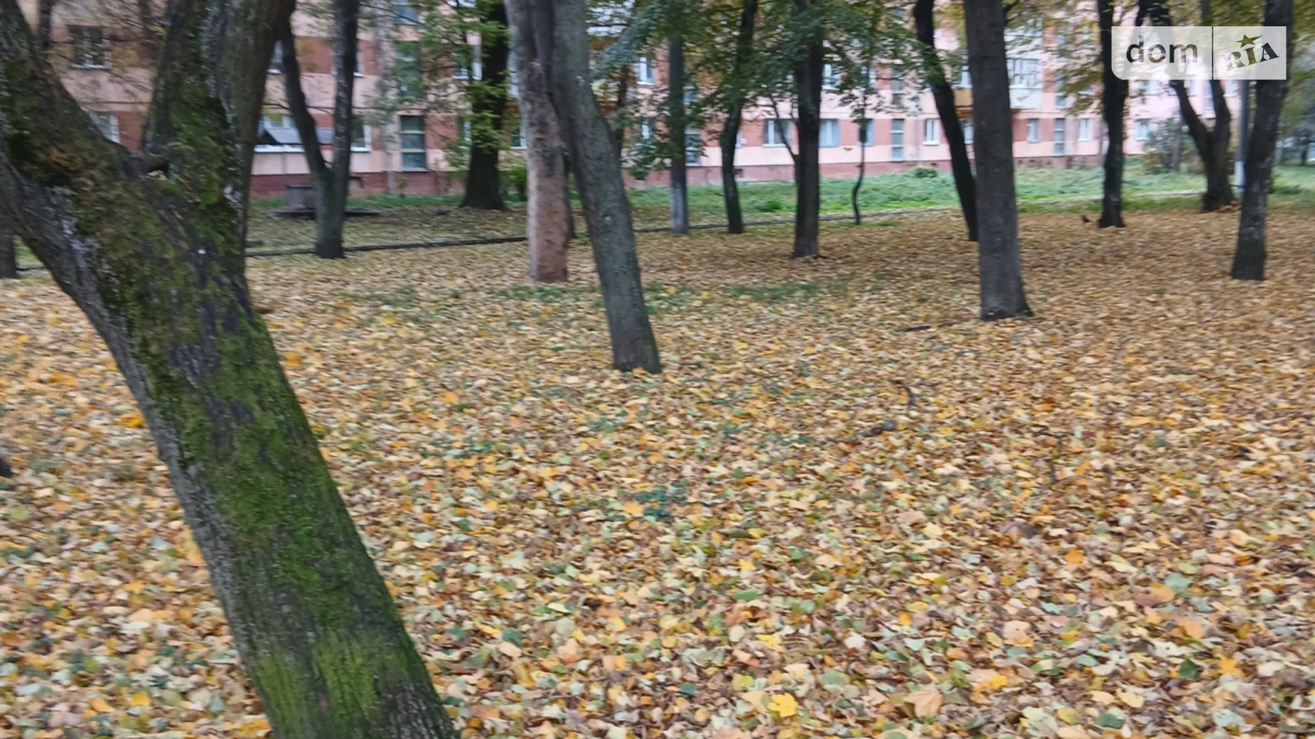 Продается земельный участок 45 соток в Хмельницкой области, цена: 180000 $ - фото 5