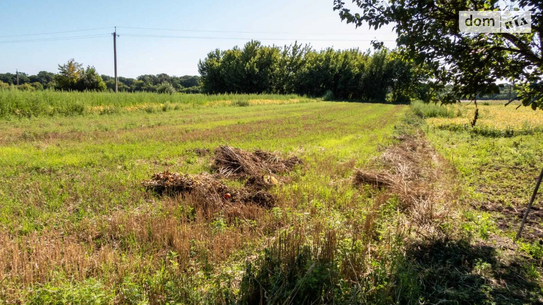 Продается одноэтажный дом 59.1 кв. м с мансардой, цена: 30000 € - фото 5