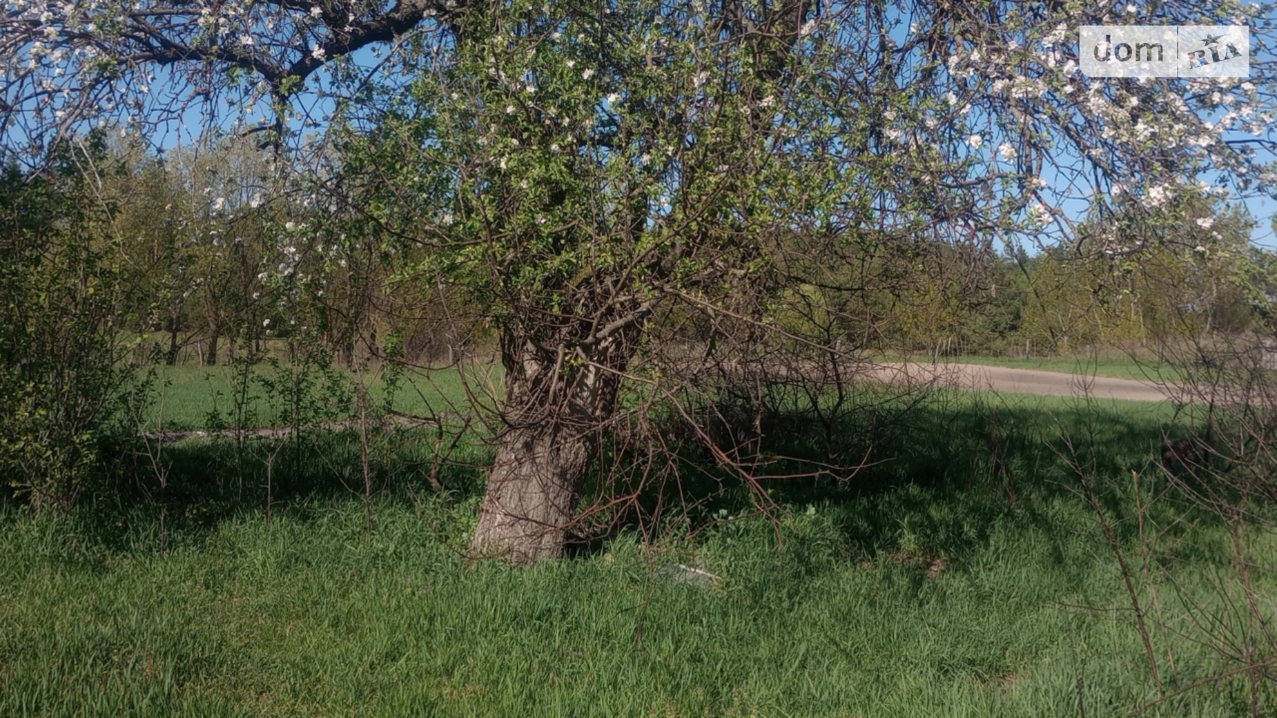 Продается одноэтажный дом 50.4 кв. м с участком, цена: 20000 $ - фото 3