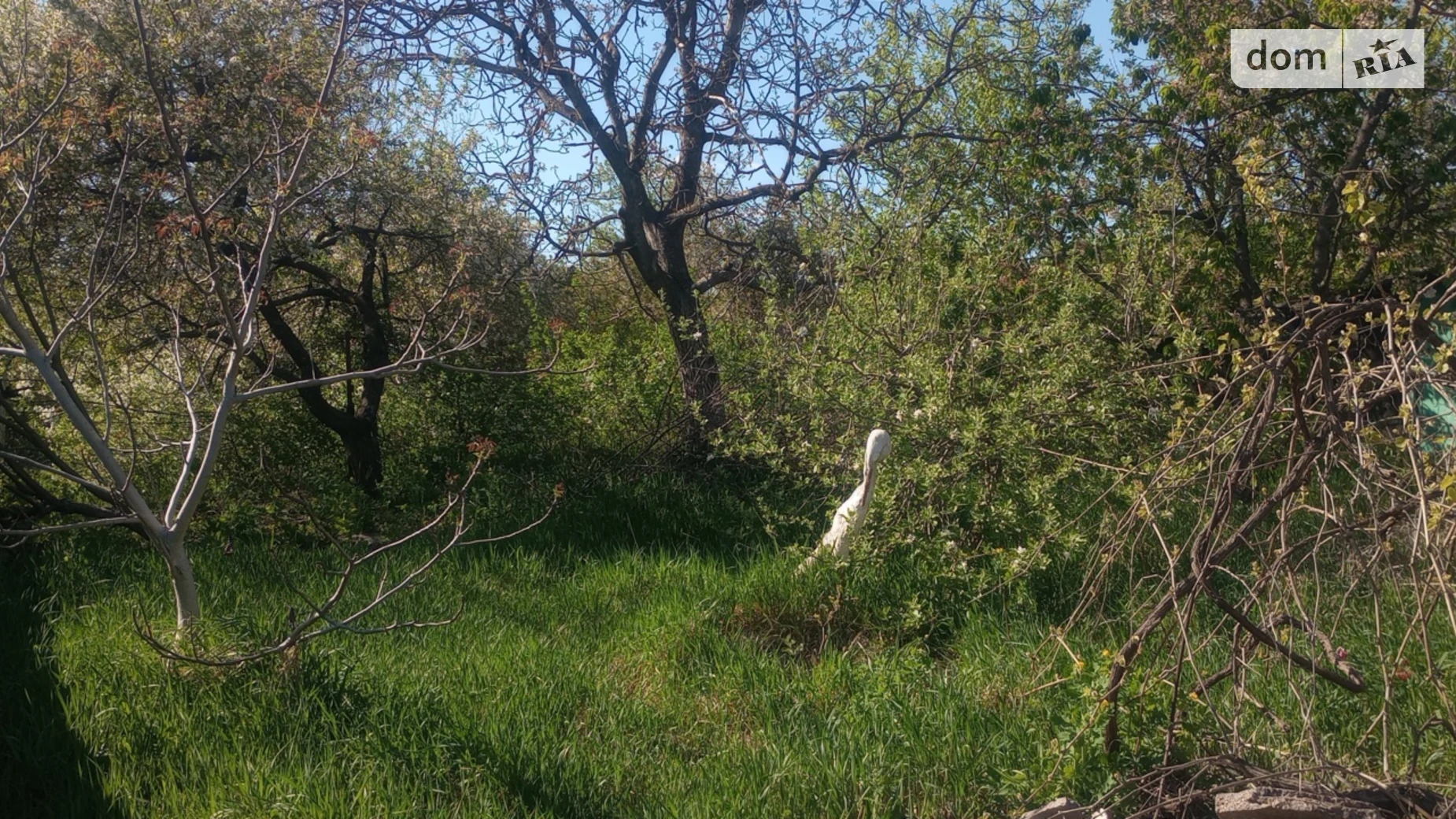 Продается одноэтажный дом 50.4 кв. м с участком, цена: 20000 $ - фото 5