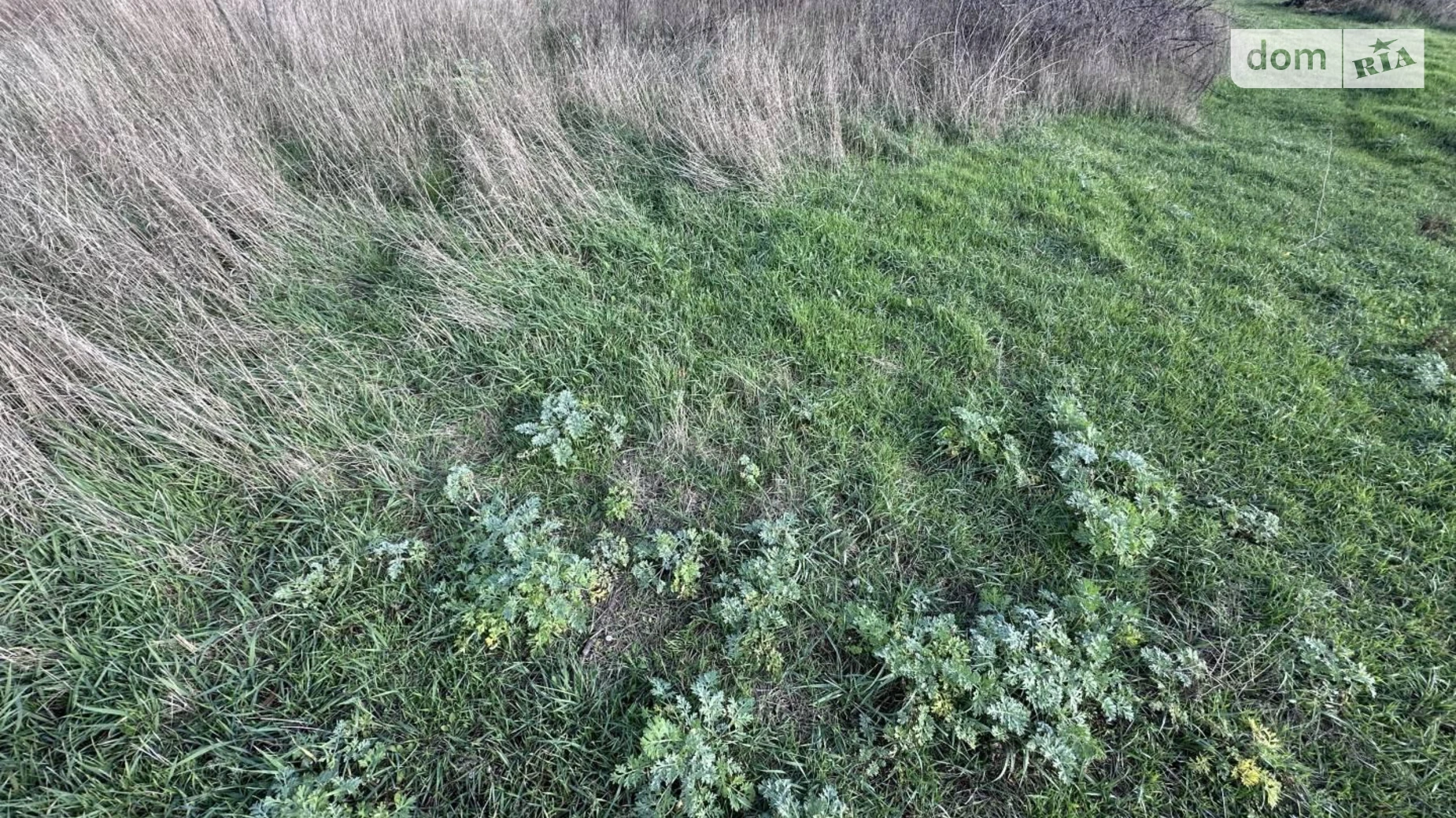 Продается земельный участок 10 соток в Одесской области, цена: 30800 $ - фото 2