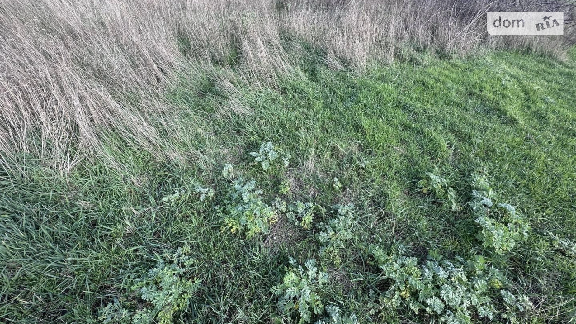 Продается земельный участок 10 соток в Одесской области, цена: 30800 $ - фото 3