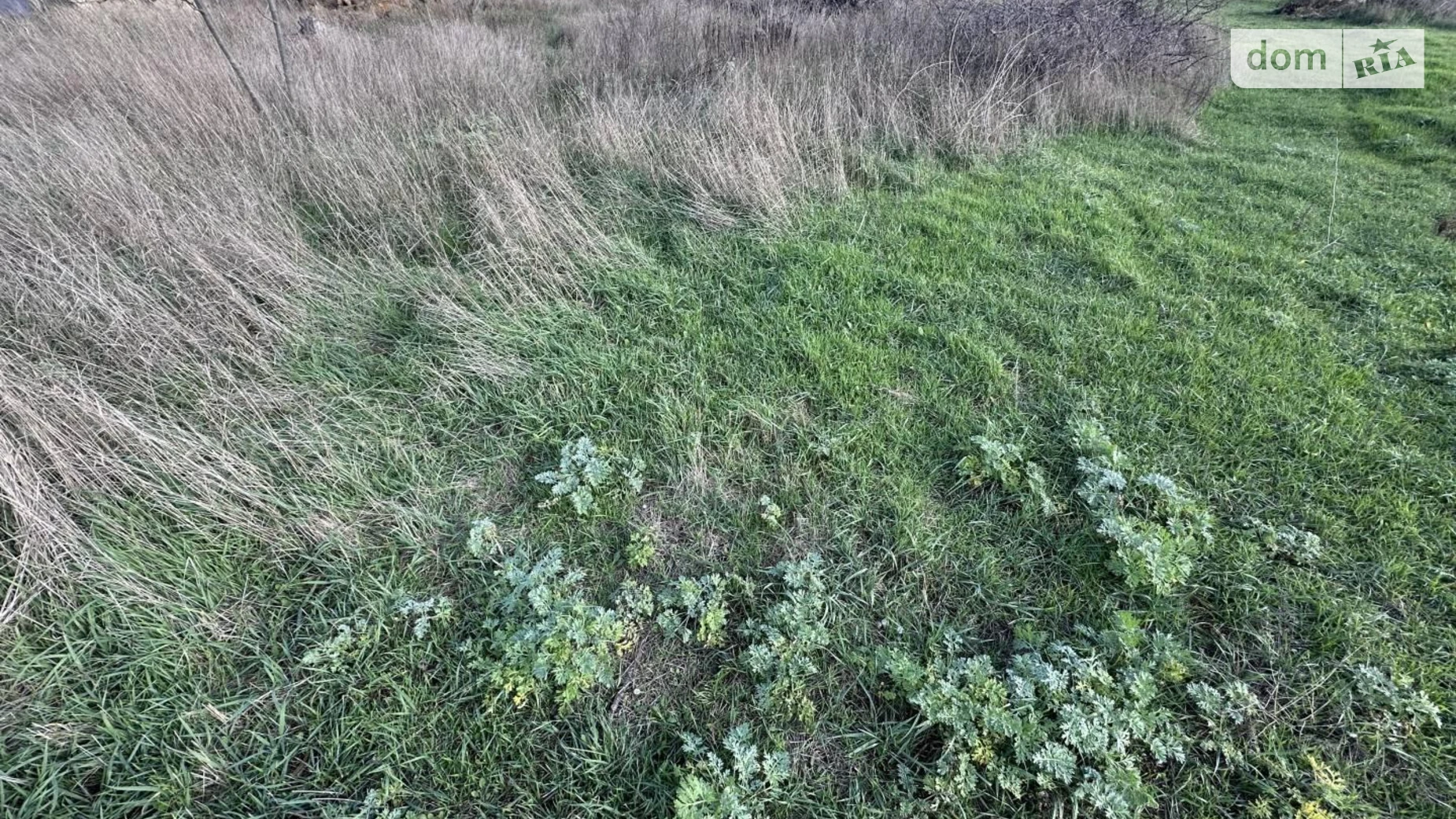 Продается земельный участок 10 соток в Одесской области, цена: 30800 $ - фото 4