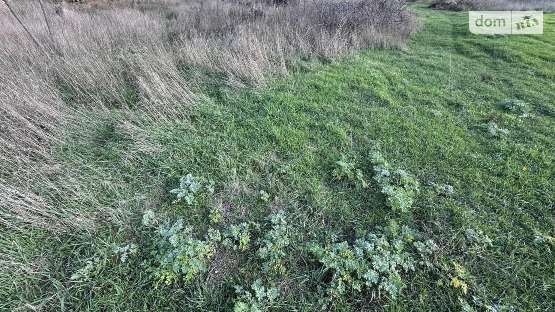 Продается земельный участок 10 соток в Одесской области, цена: 30800 $ - фото 5