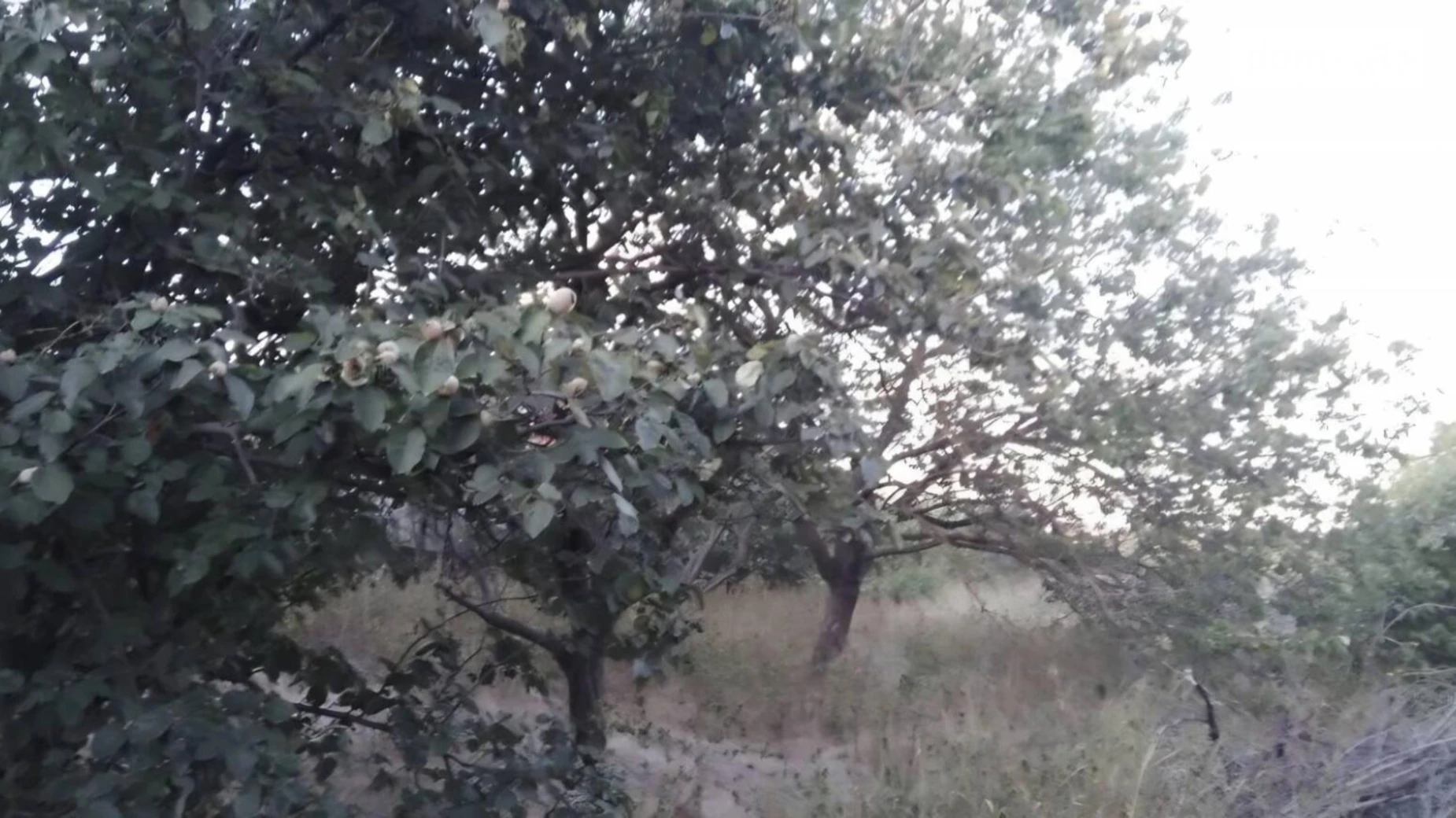 Без улицы Прилиманское, цена: 6200 $ - фото 4