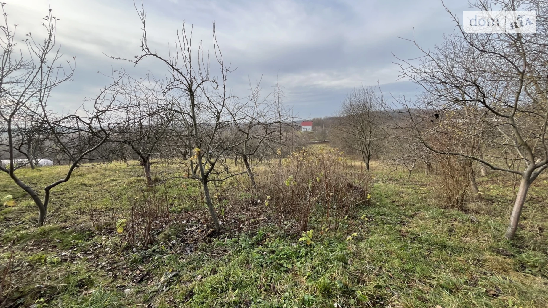 Продается земельный участок 60 соток в Винницкой области, цена: 62000 $ - фото 3