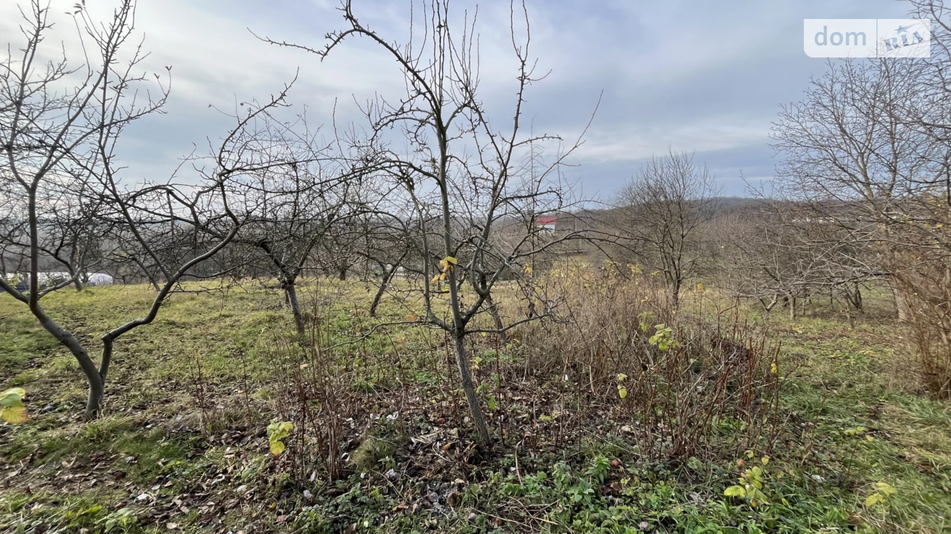 Продается земельный участок 60 соток в Винницкой области, цена: 62000 $ - фото 2