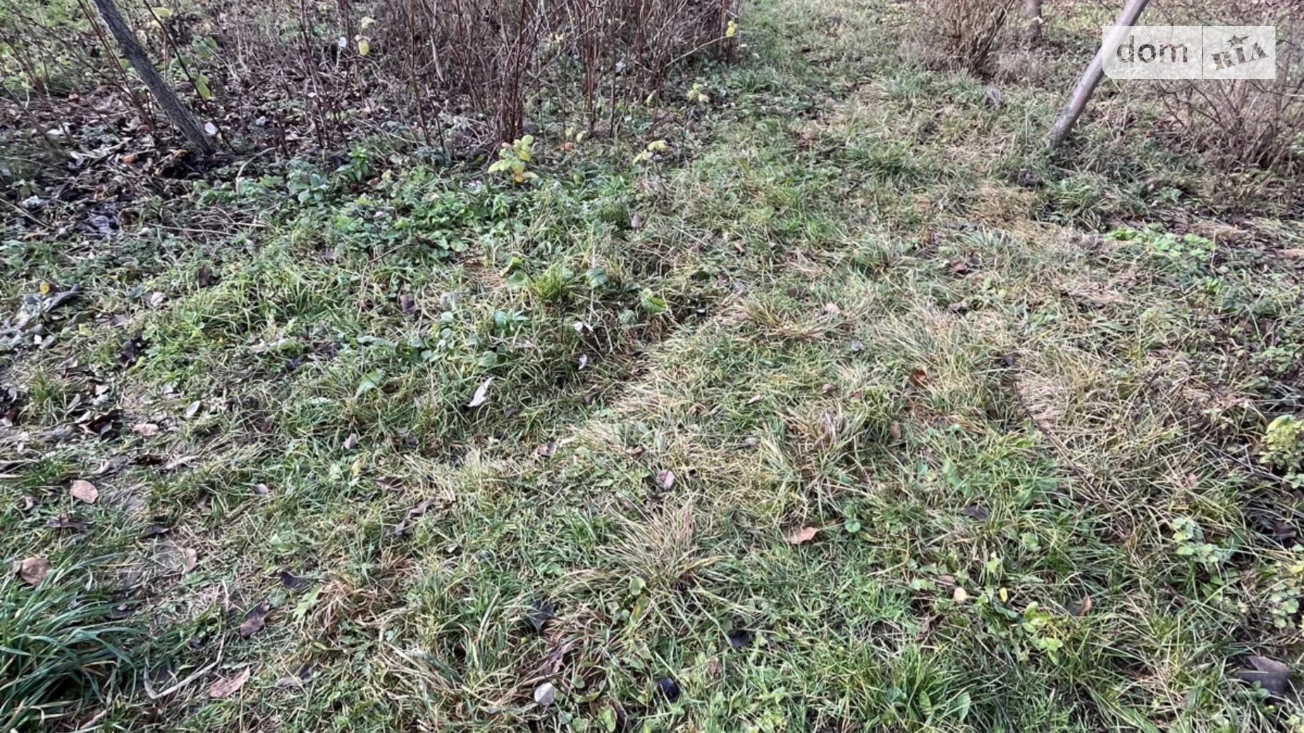 Продается земельный участок 60 соток в Винницкой области, цена: 62000 $ - фото 4