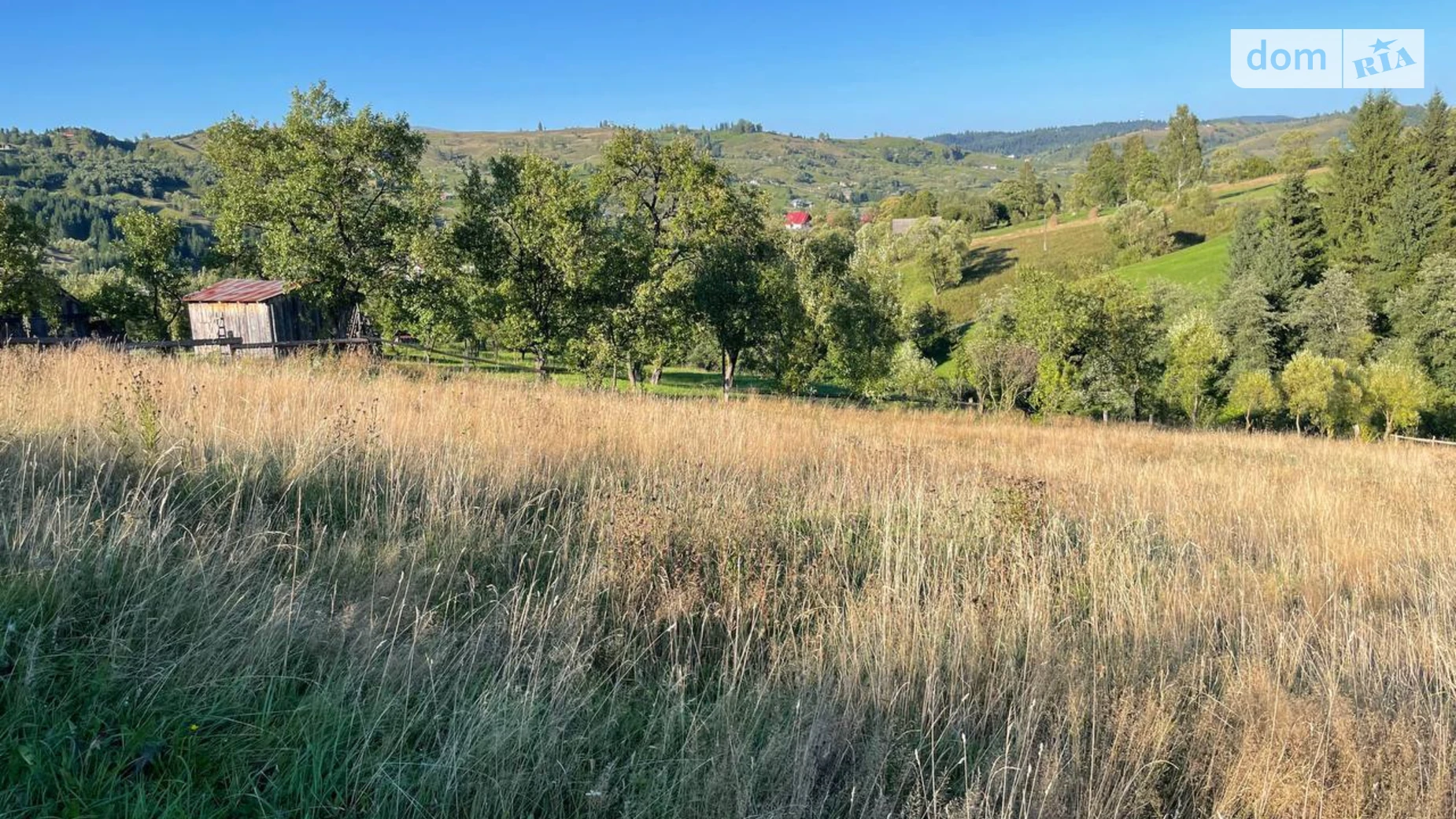 Ясиня, цена: 40000 $ - фото 2