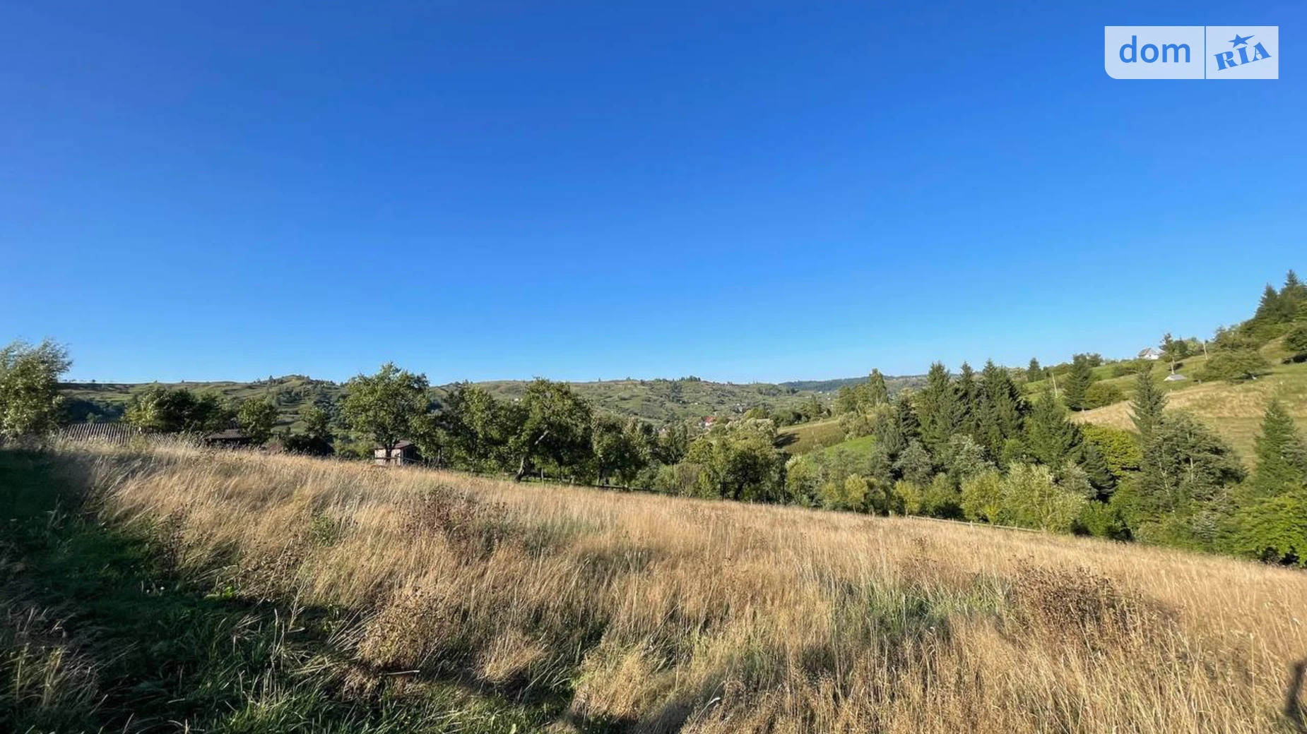 Ясиня, цена: 40000 $ - фото 3