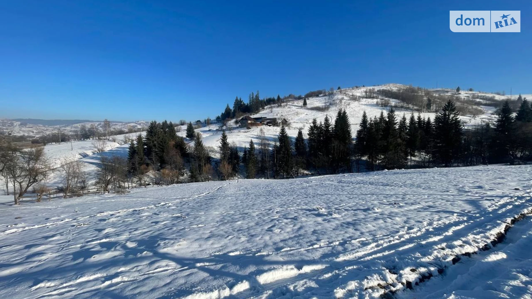 Ясиня, цена: 40000 $ - фото 4