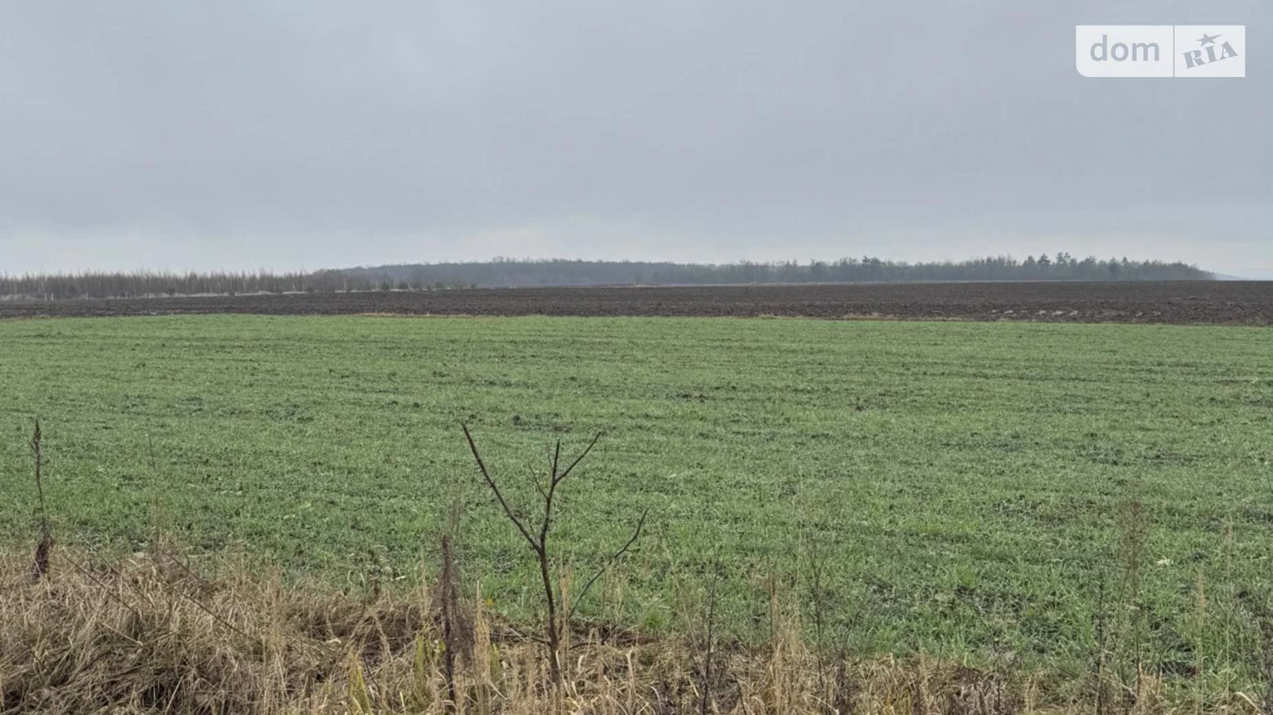 Продается земельный участок 3 соток в Ровенской области, цена: 22500 $ - фото 3