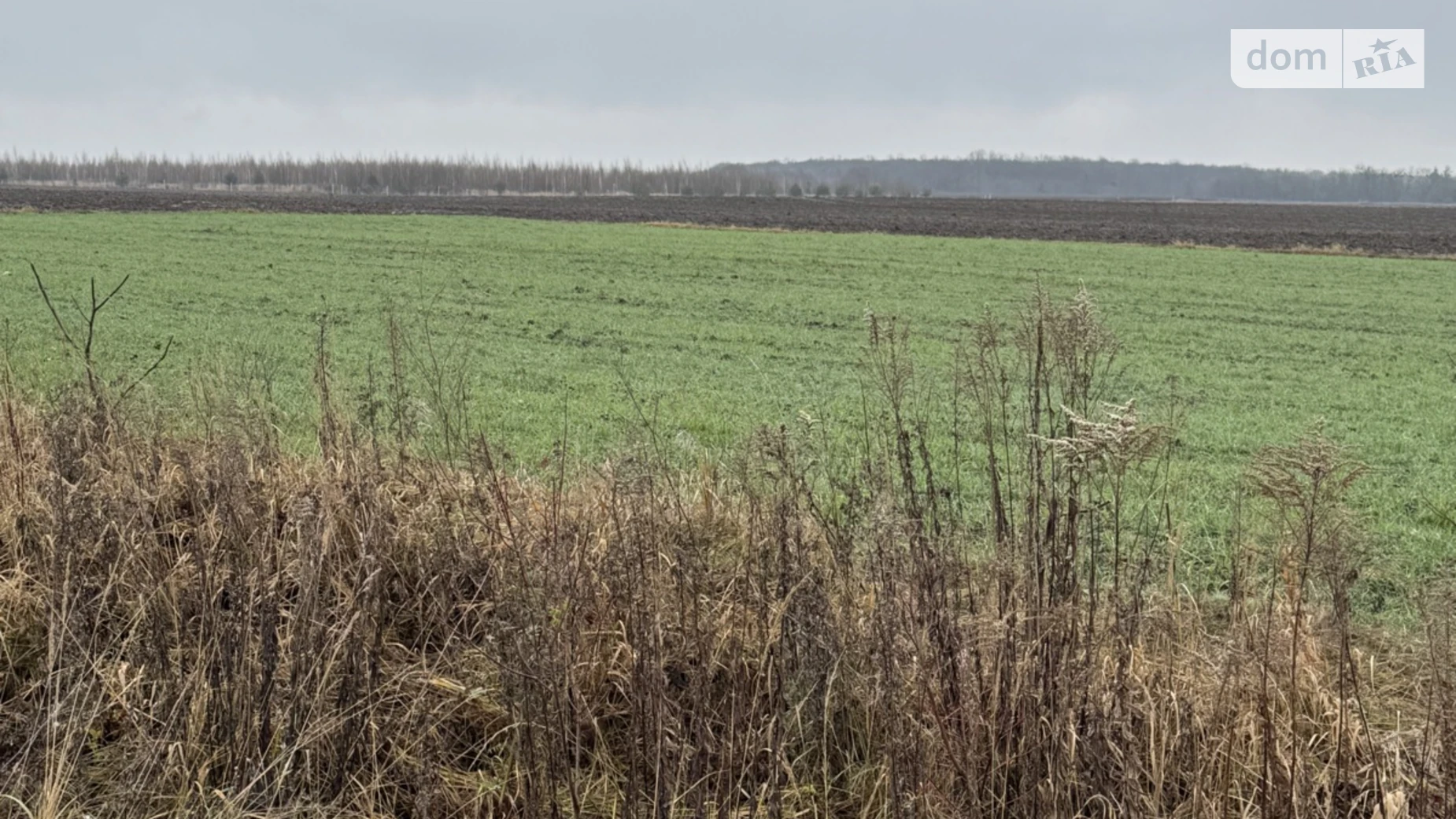 Продается земельный участок 3 соток в Ровенской области, цена: 22500 $ - фото 4