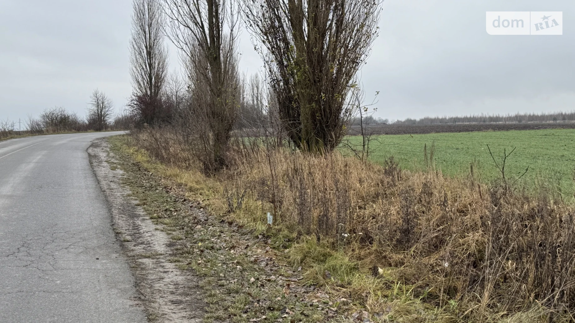Продается земельный участок 3 соток в Ровенской области, цена: 22500 $ - фото 5