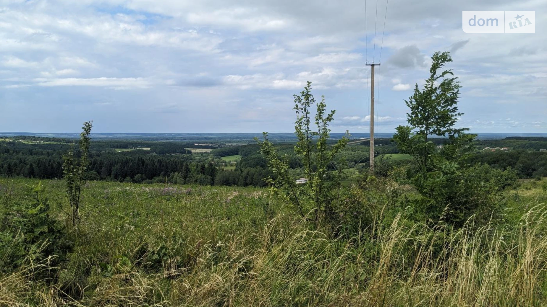 Продается земельный участок 49.12 соток в Ивано-Франковской области, цена: 50000 $ - фото 2