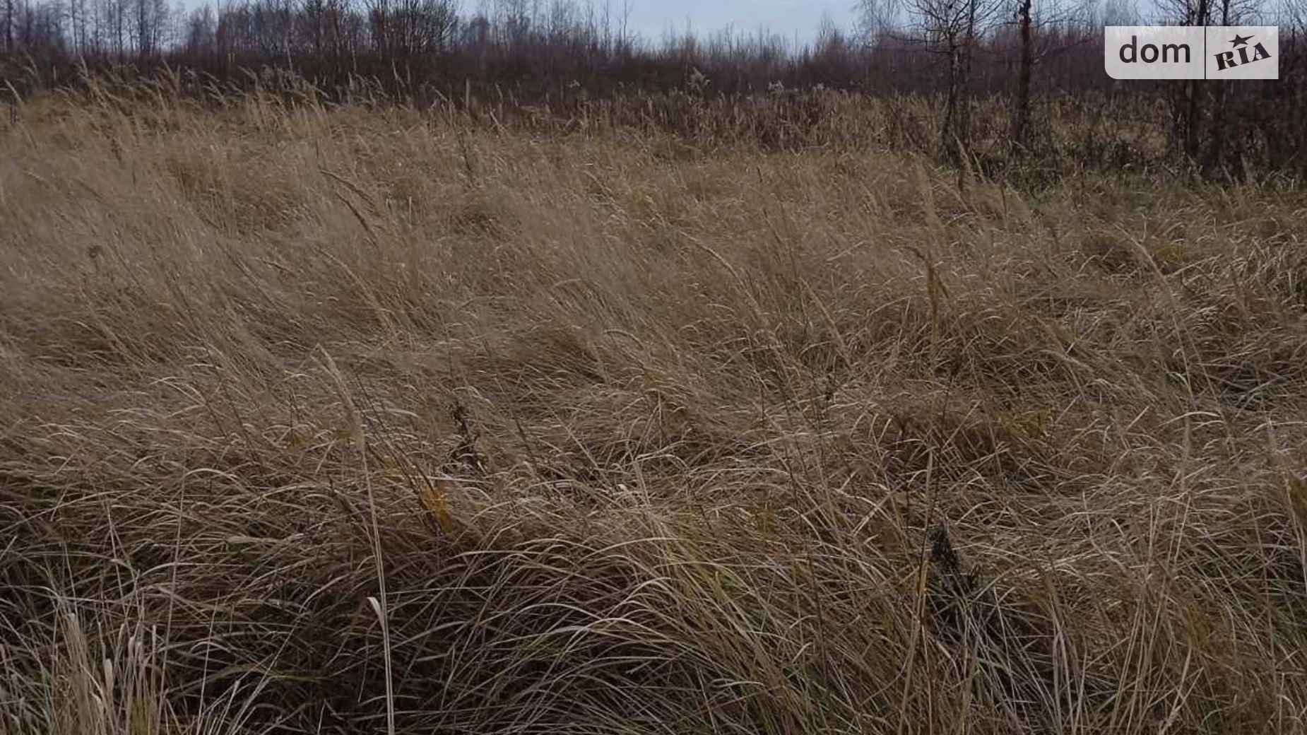 Нарцизовка, цена: 13345 грн - фото 2