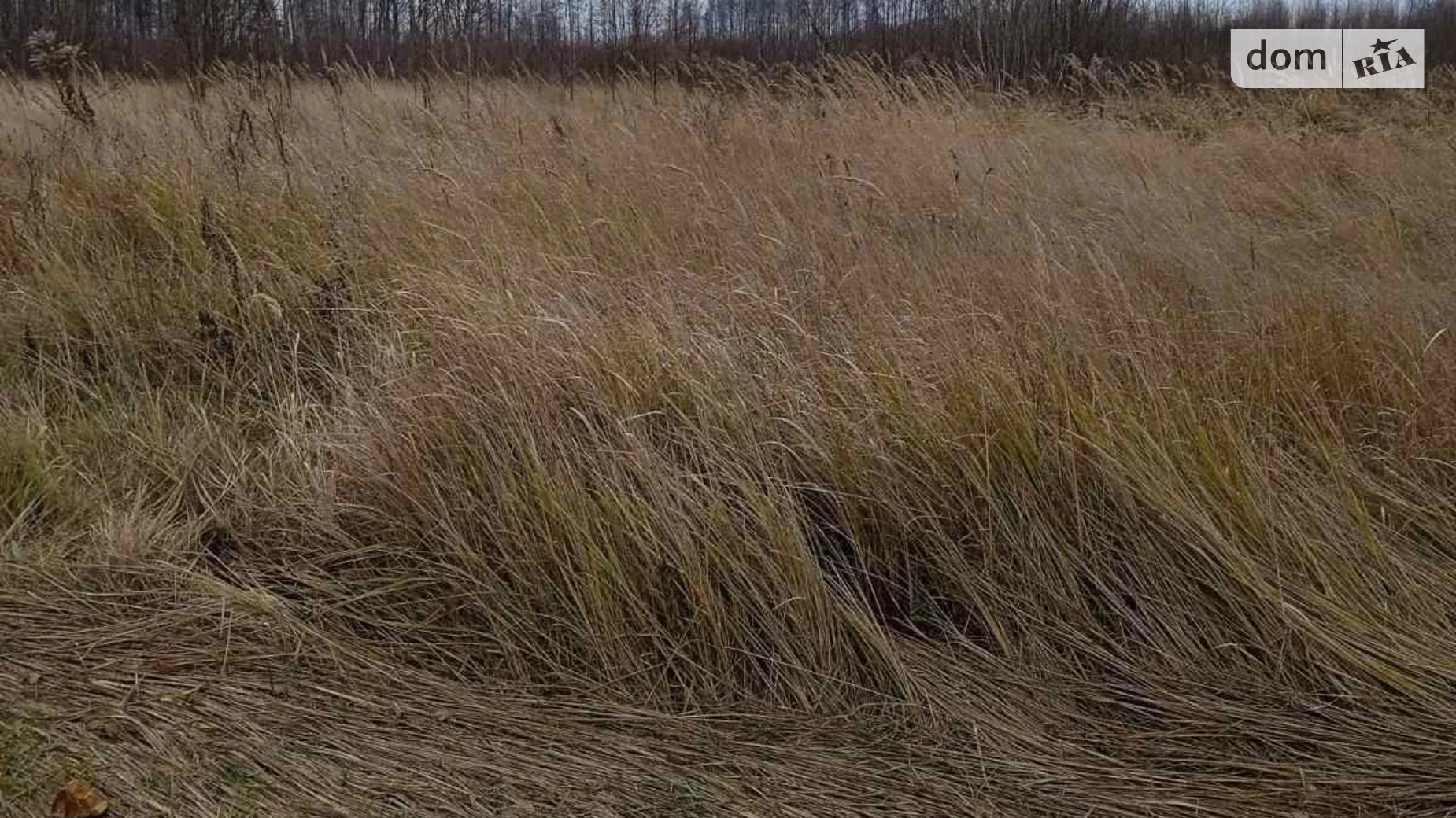 Нарцизовка, цена: 13345 грн - фото 3