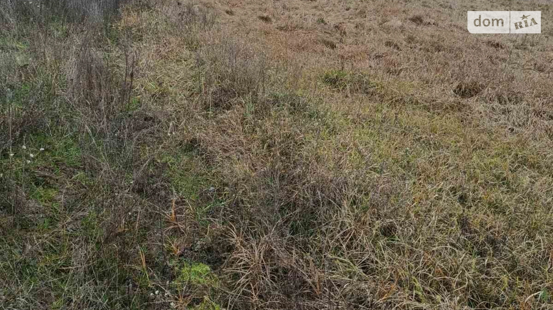 Соболевка (Липовец), цена: 20606 грн - фото 2