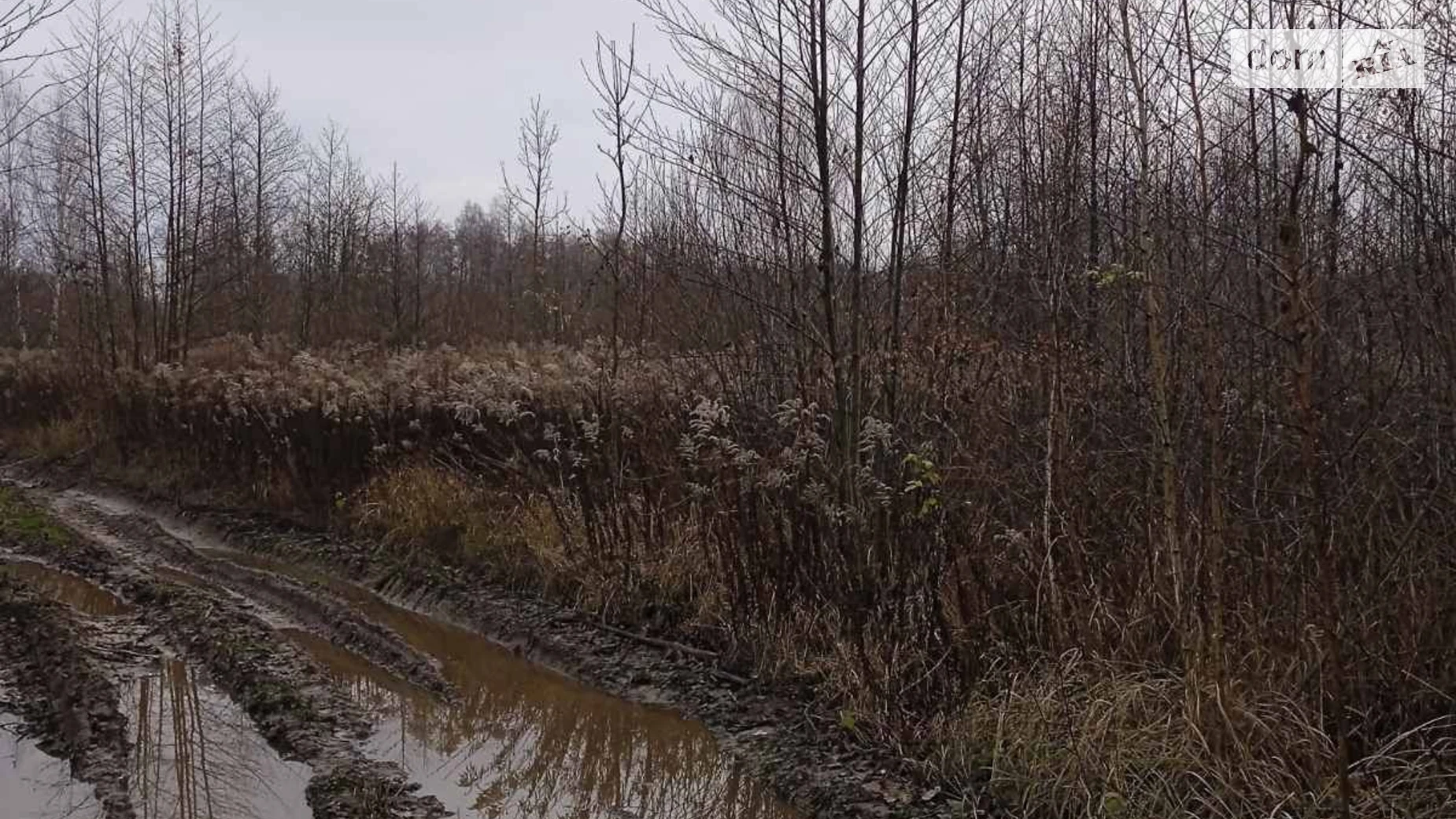 Ясеновка, цена: 20527 грн - фото 2