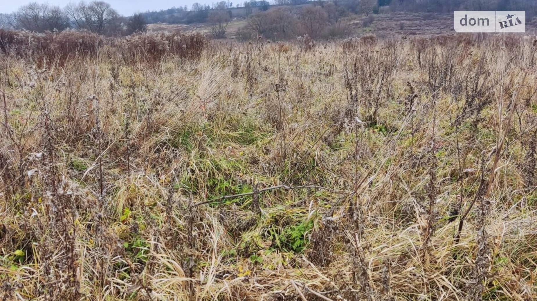 Сдается в аренду земельный участок 1.641 соток в Львовской области, цена: 1175 грн - фото 2