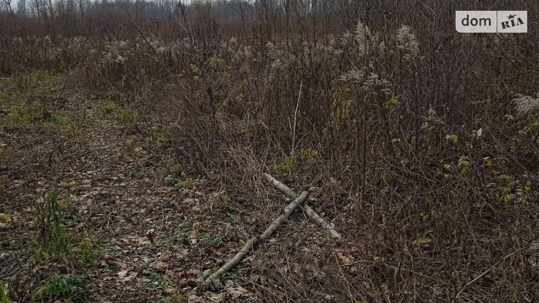 Ясеновка, цена: 20527 грн - фото 3