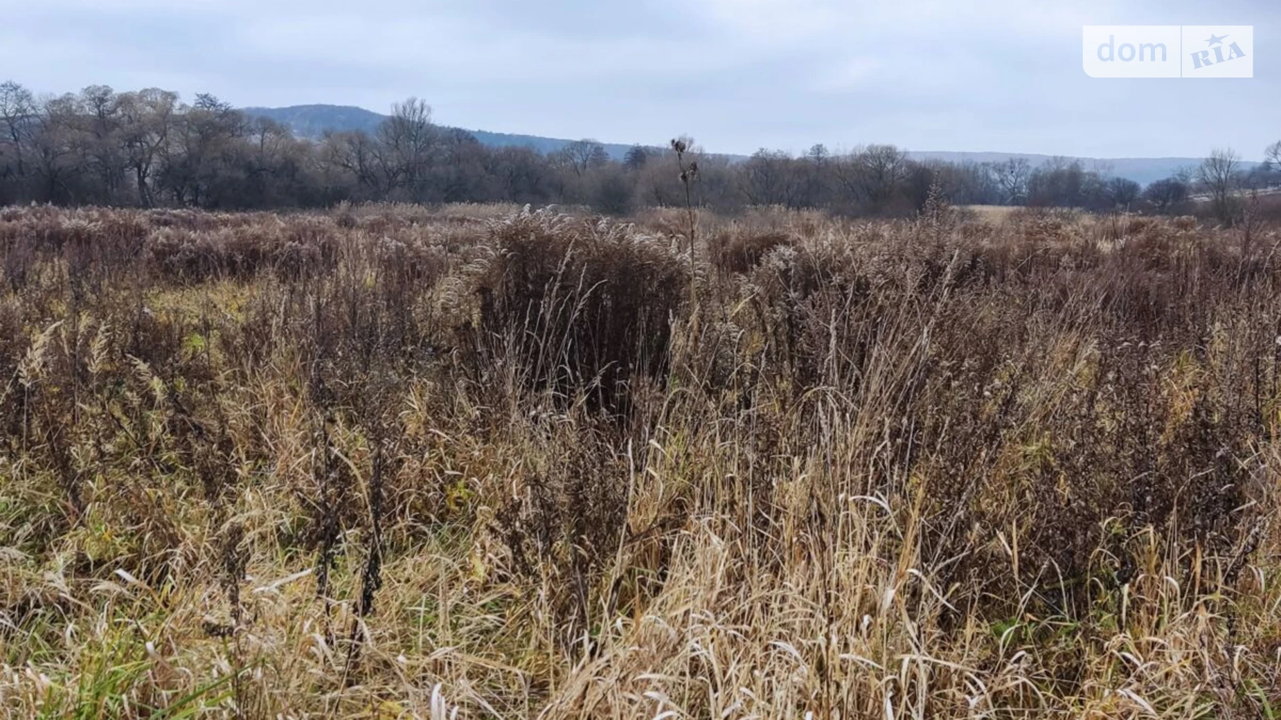 Сдается в аренду земельный участок 4.6747 соток в Львовской области, цена: 3349 грн - фото 2