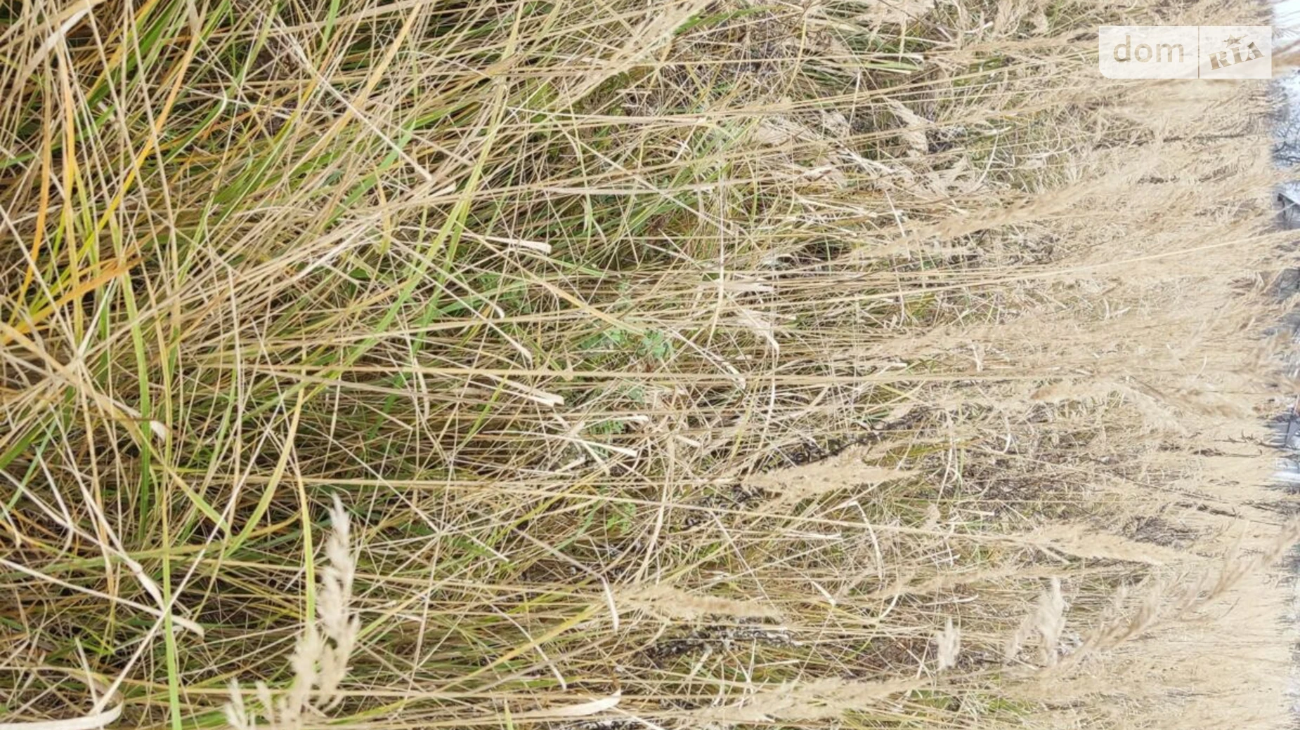 Сдается в аренду земельный участок 4.6565 соток в Львовской области, цена: 2823 грн - фото 2