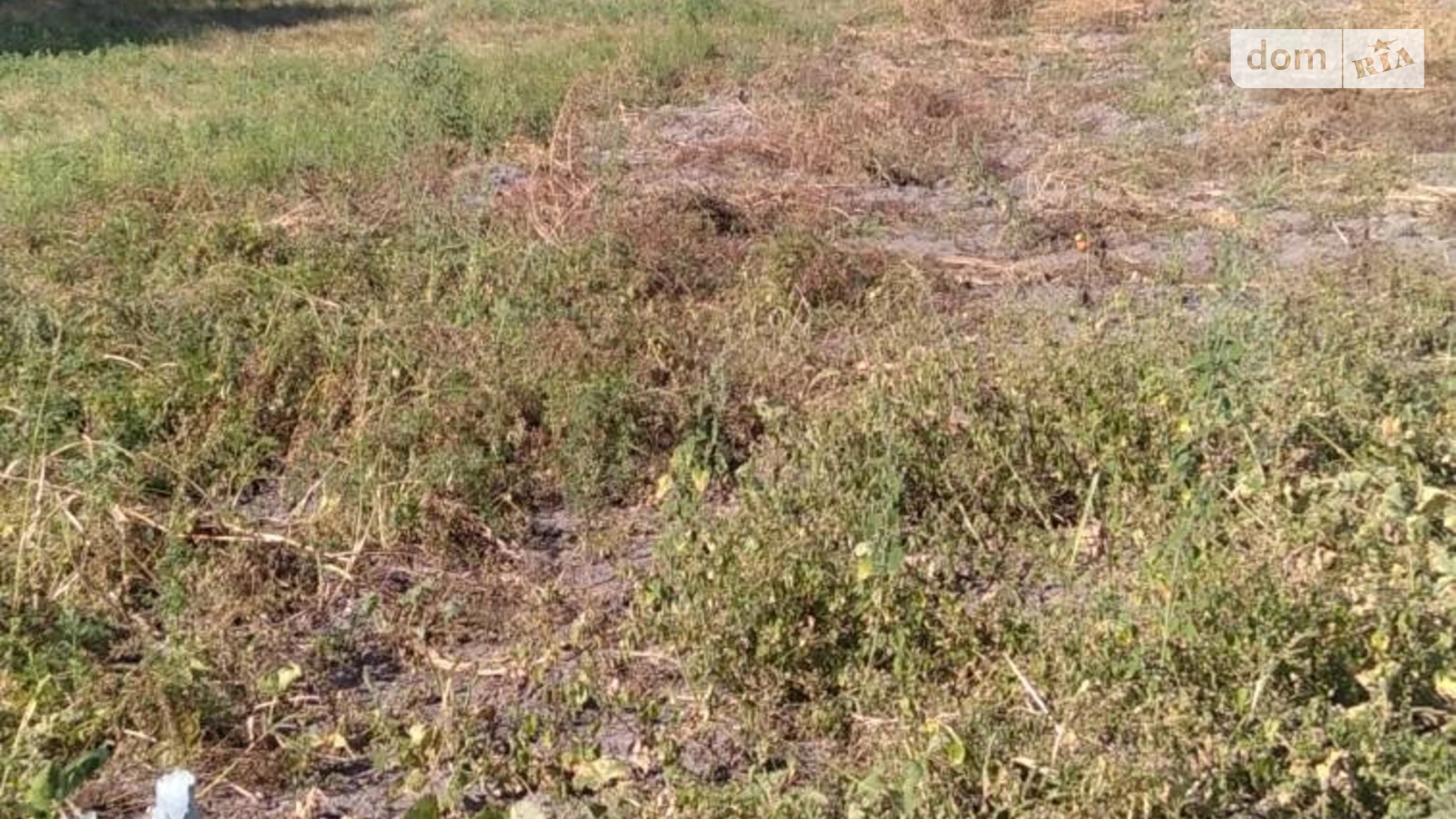 Продается земельный участок 19 соток в Киевской области, цена: 7000 $ - фото 3