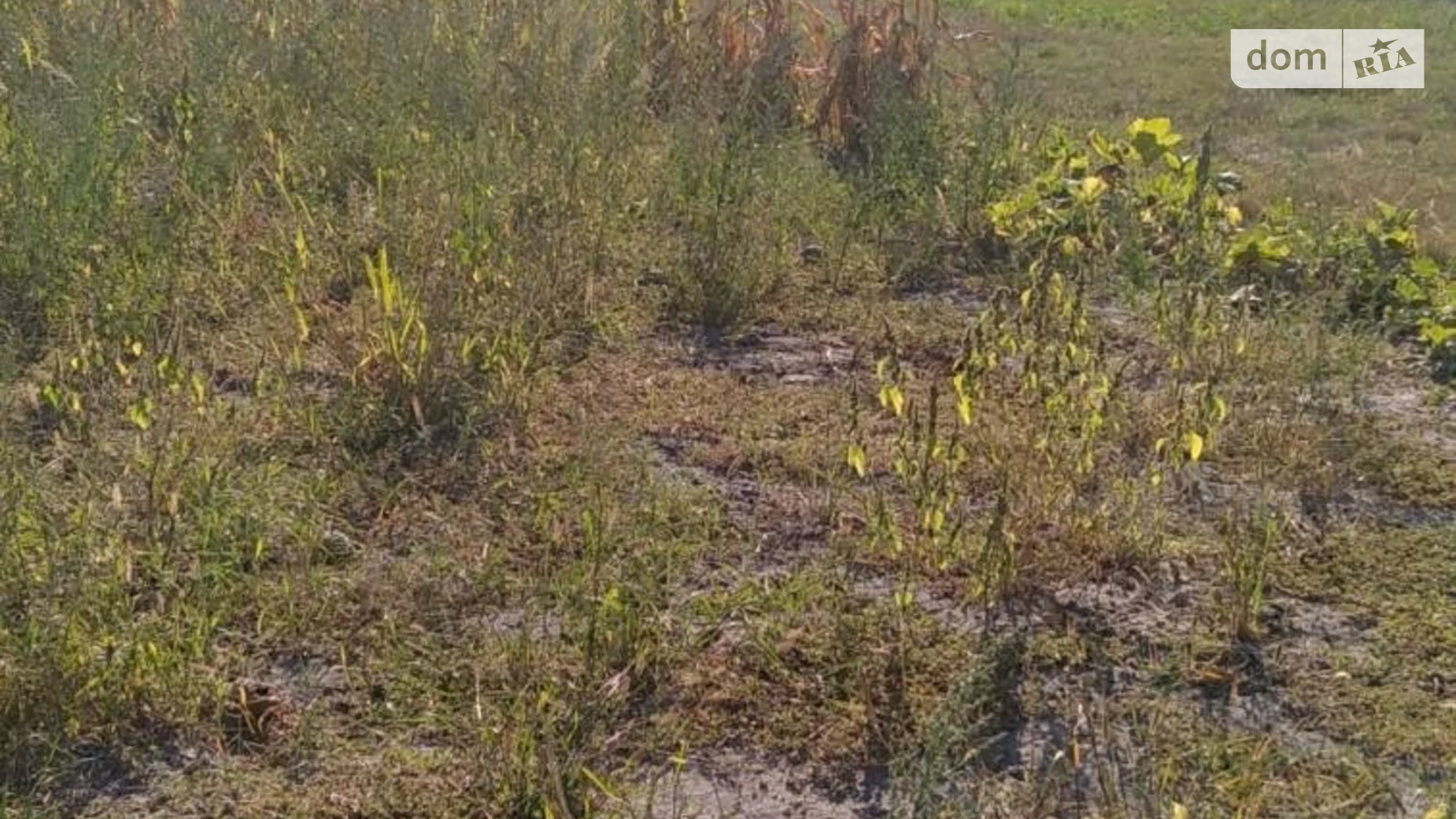 Продается земельный участок 19 соток в Киевской области, цена: 7000 $ - фото 4