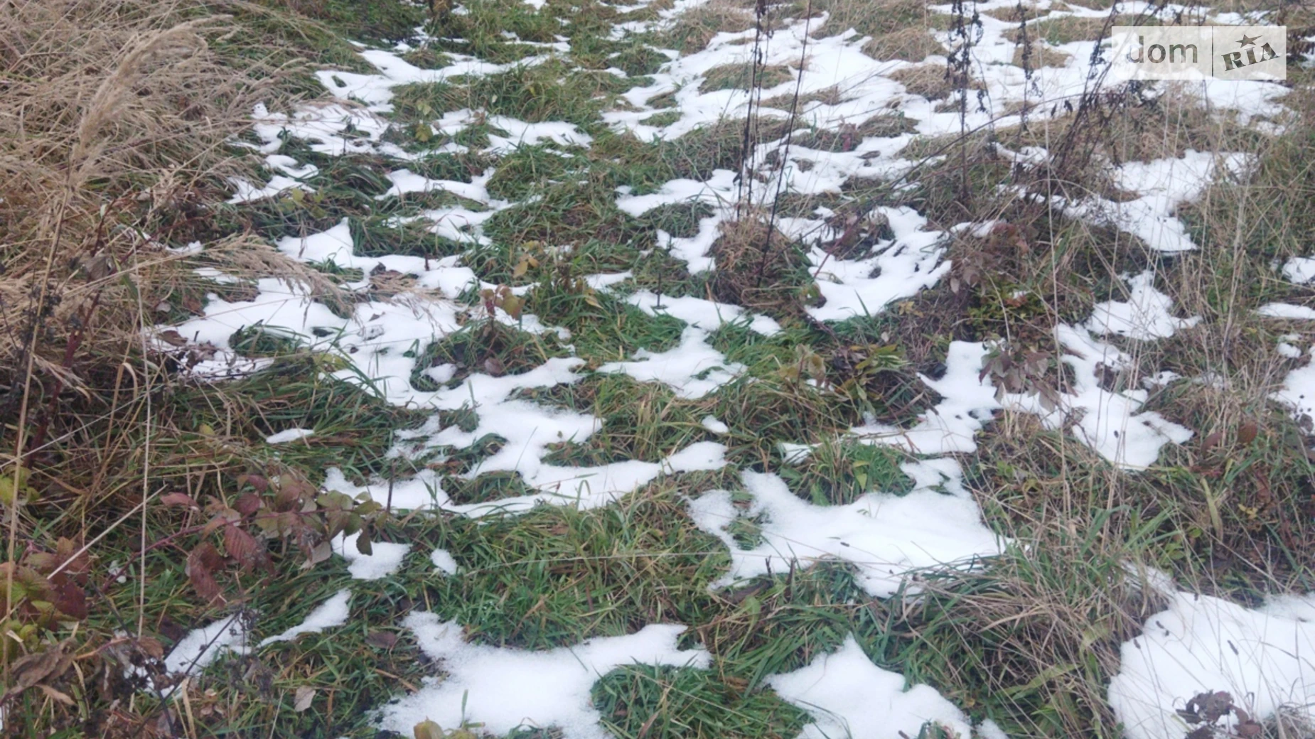 Продается земельный участок 10 соток в Львовской области, цена: 44999 $ - фото 2