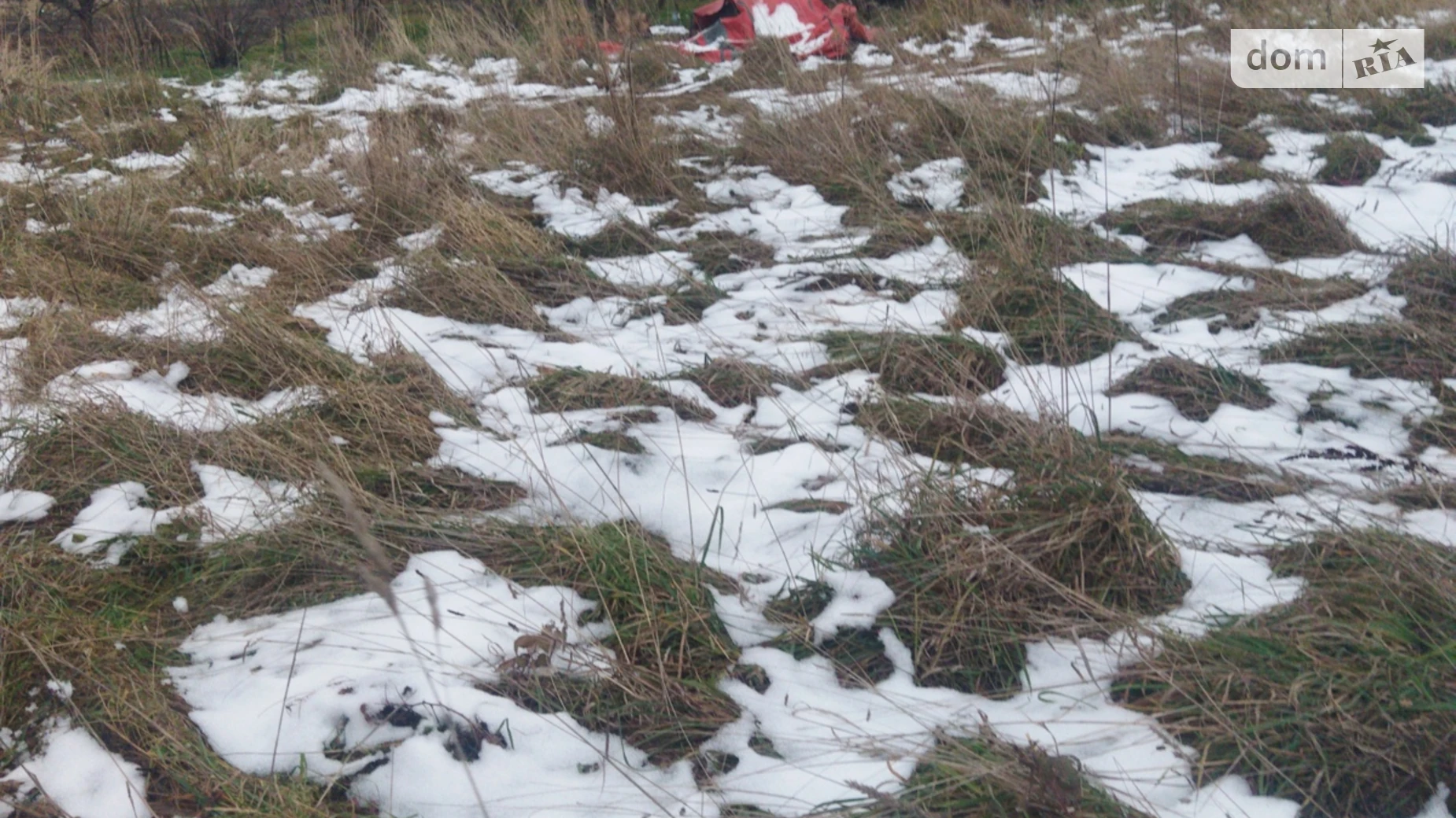 Продается земельный участок 10 соток в Львовской области, цена: 44999 $ - фото 4