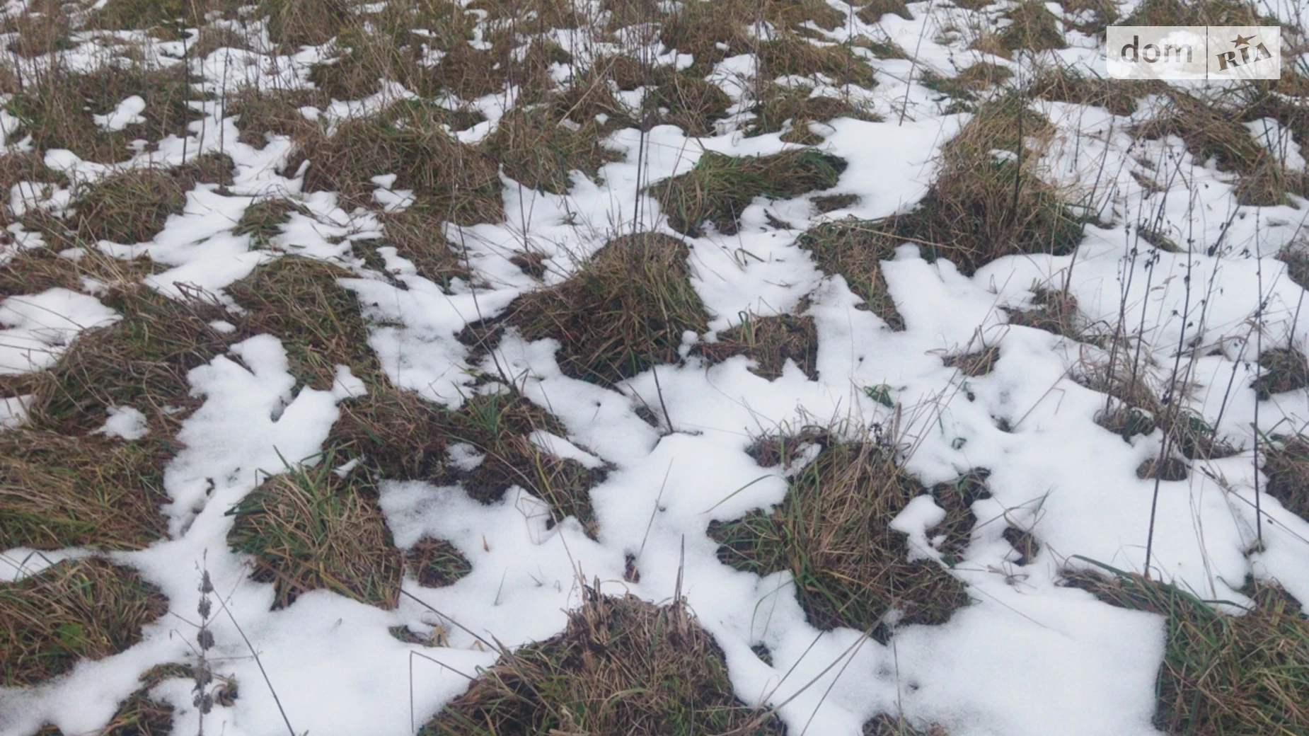 Продается земельный участок 10 соток в Львовской области, цена: 44999 $ - фото 5