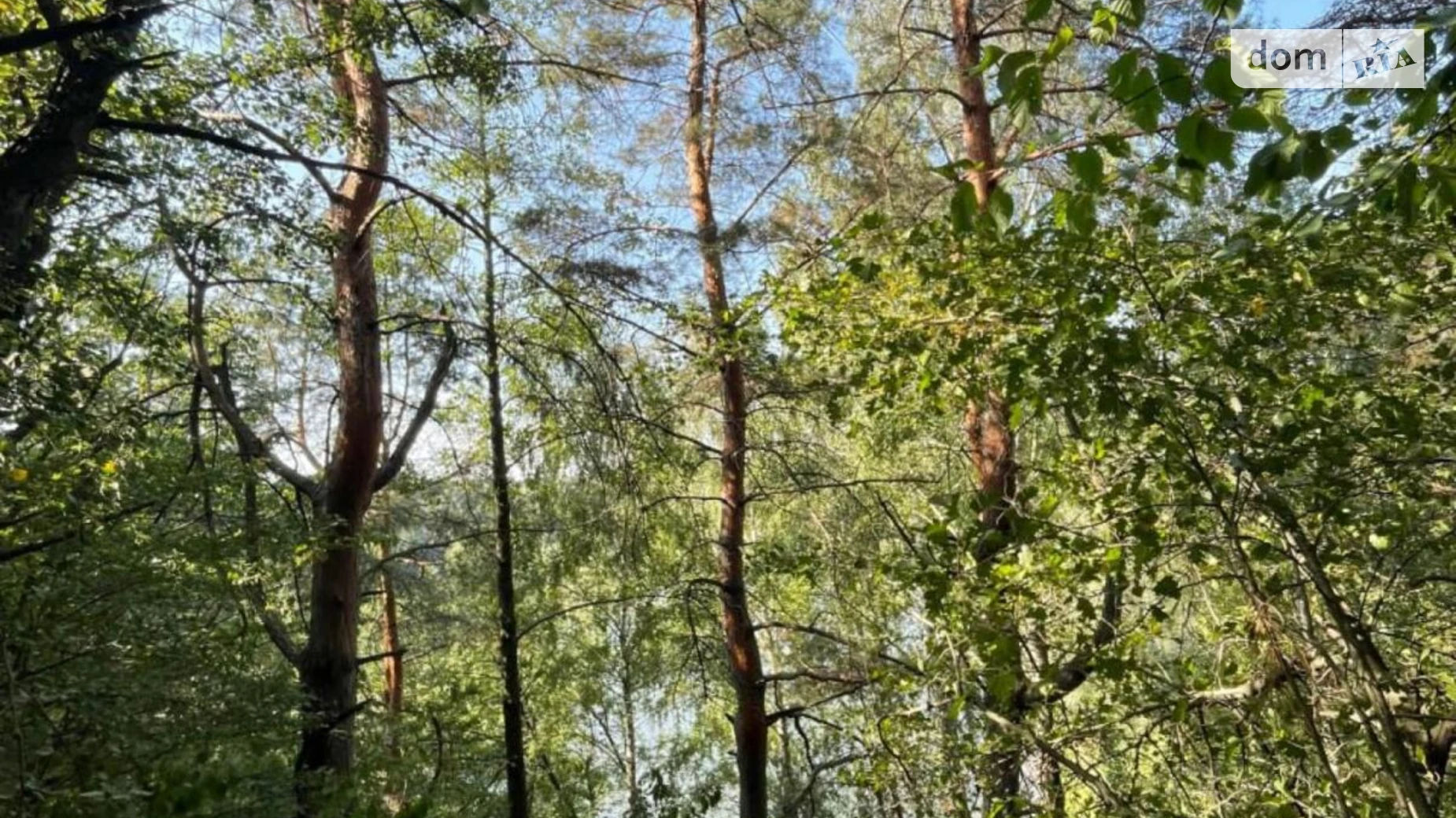 Продається земельна ділянка 15 соток у Київській області, цена: 85000 $ - фото 5