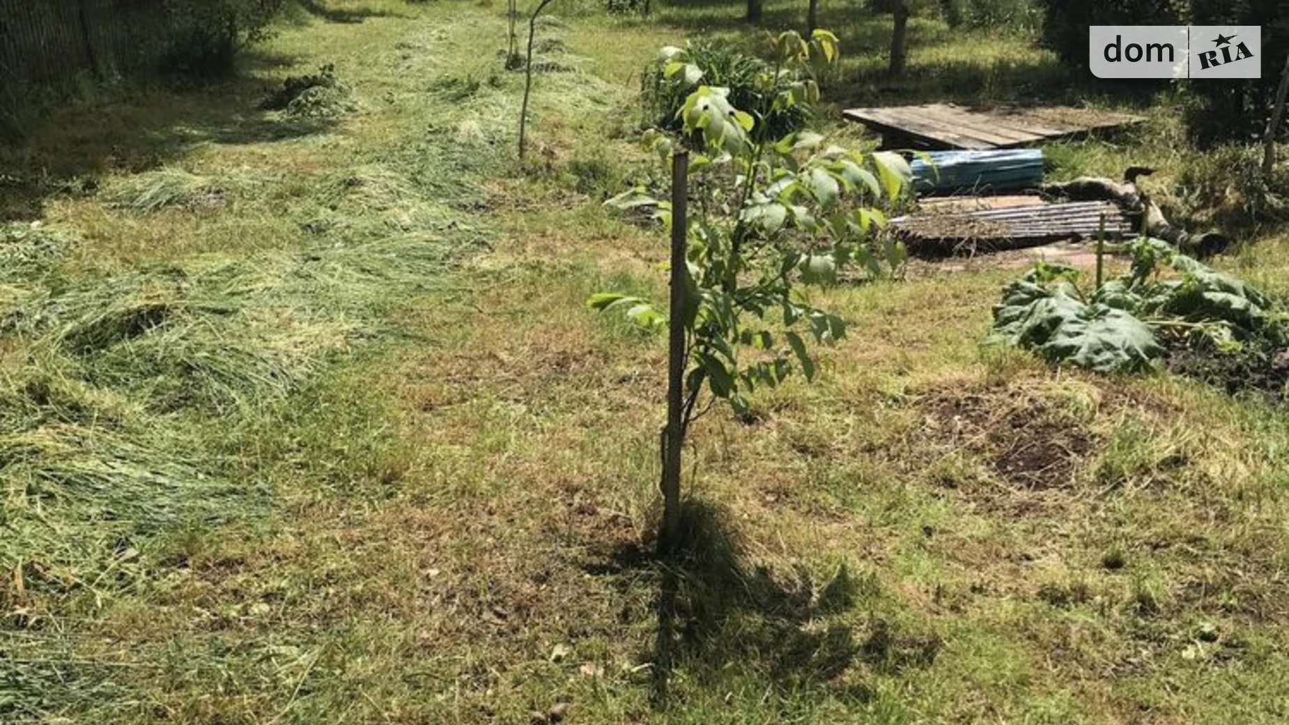 Брюховичи (Львов), цена: 35000 $ - фото 2