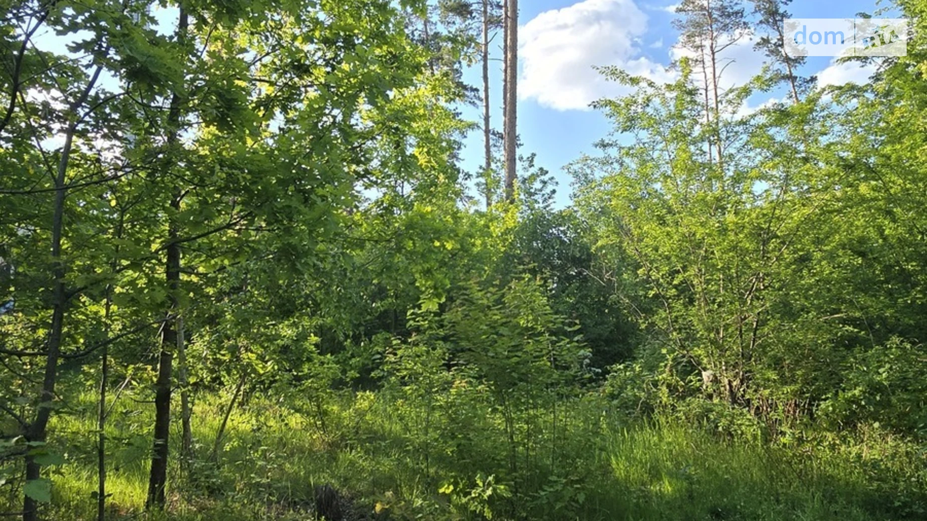 Продается земельный участок 10 соток в Житомирской области, цена: 4000 $ - фото 2