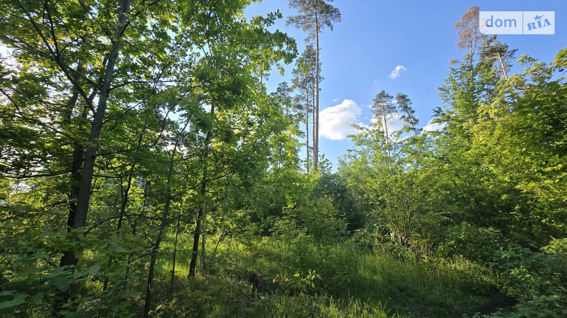 Продается земельный участок 10 соток в Житомирской области, цена: 4000 $ - фото 3