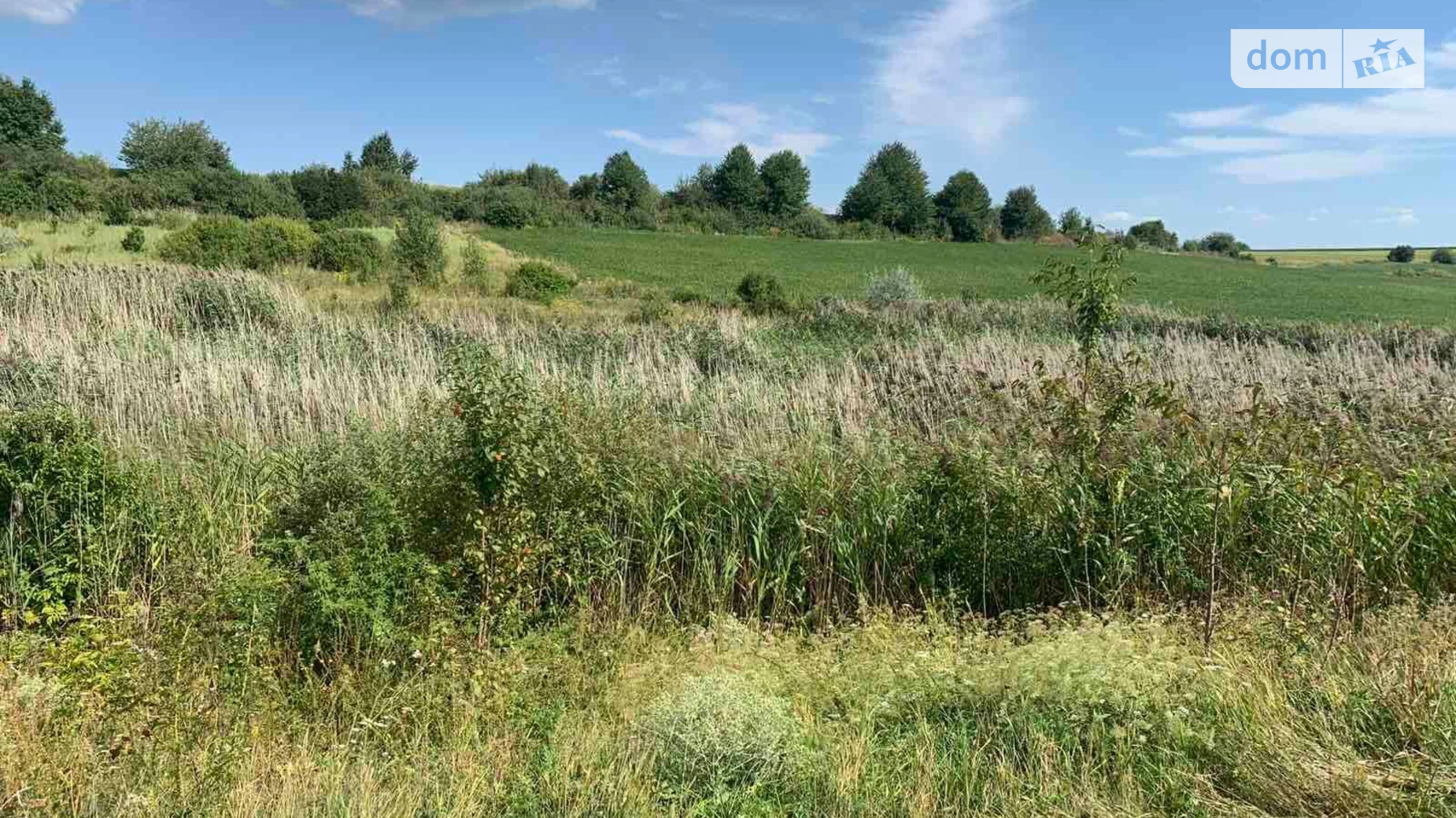 Комаров, цена: 835 грн - фото 2