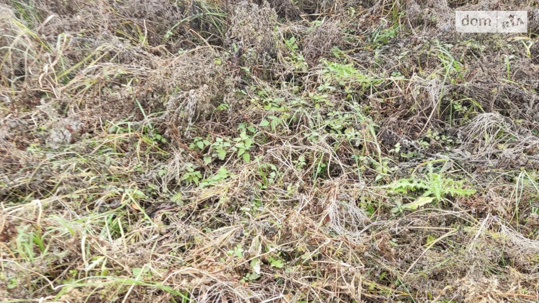 Ходоров, цена: 1128 грн - фото 2