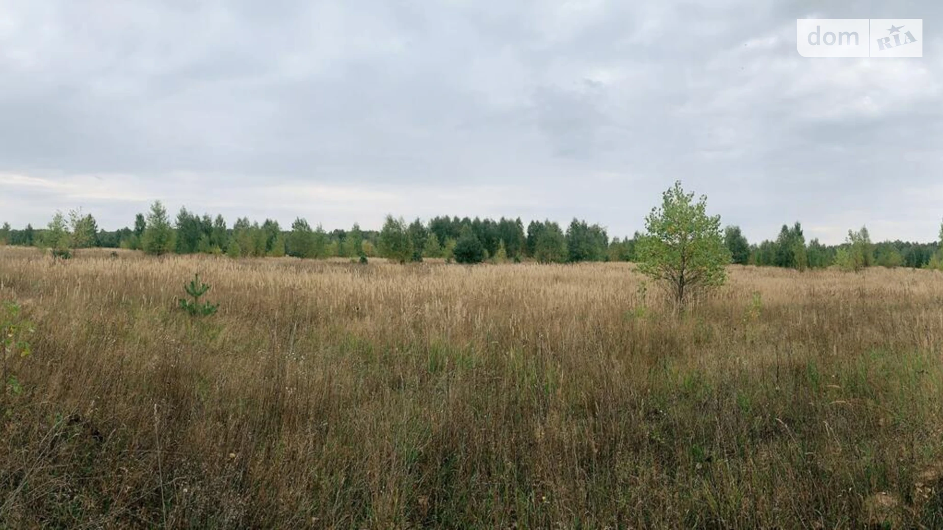 Продается земельный участок 94.38 соток в Киевской области, цена: 11000 $ - фото 3