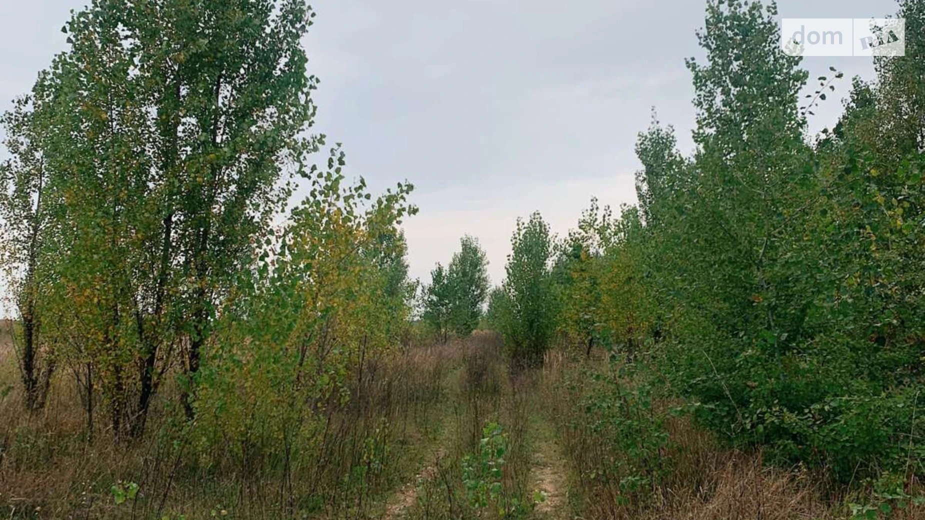 Продается земельный участок 94.38 соток в Киевской области, цена: 11000 $ - фото 4