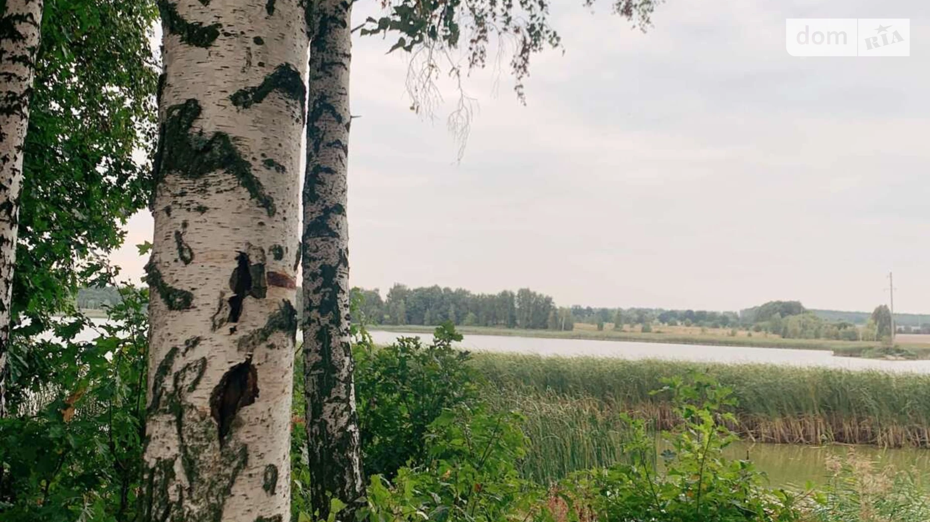Продается земельный участок 94.38 соток в Киевской области, цена: 11000 $ - фото 5