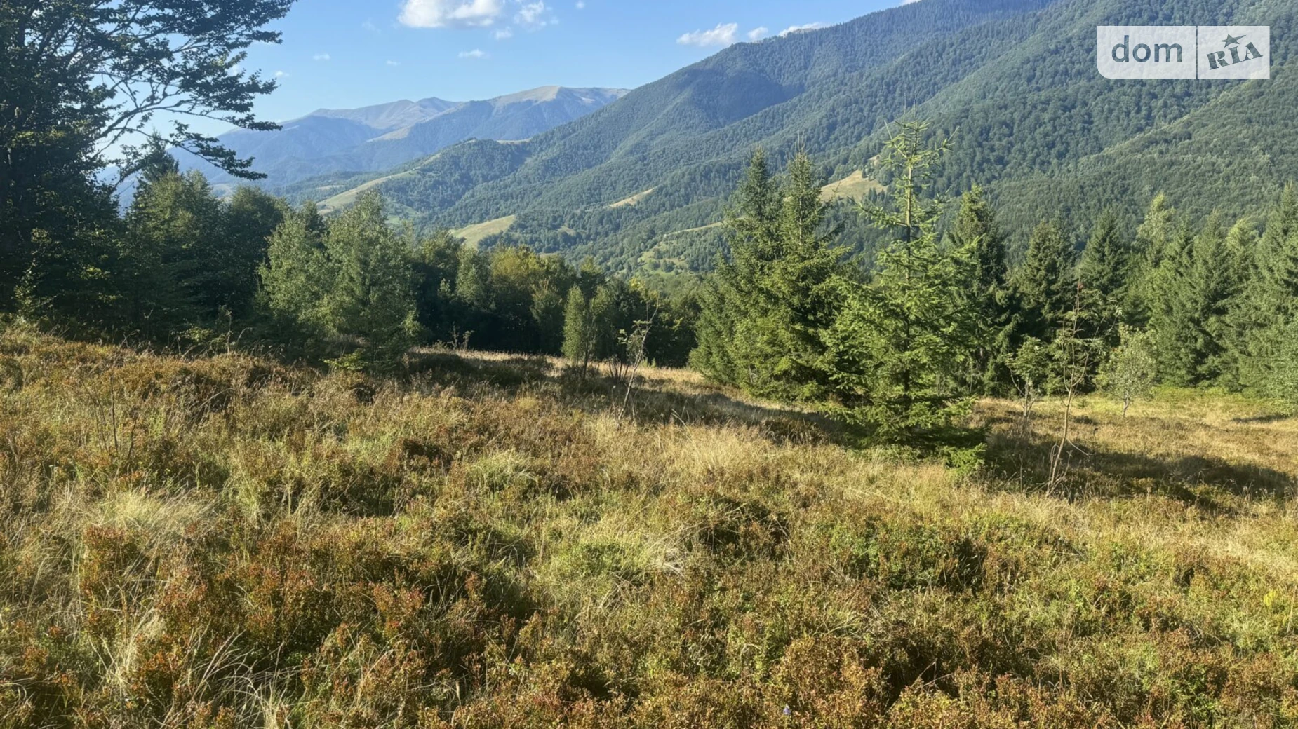 Продается земельный участок 1.4008 соток в Закарпатской области, цена: 63000 $ - фото 2