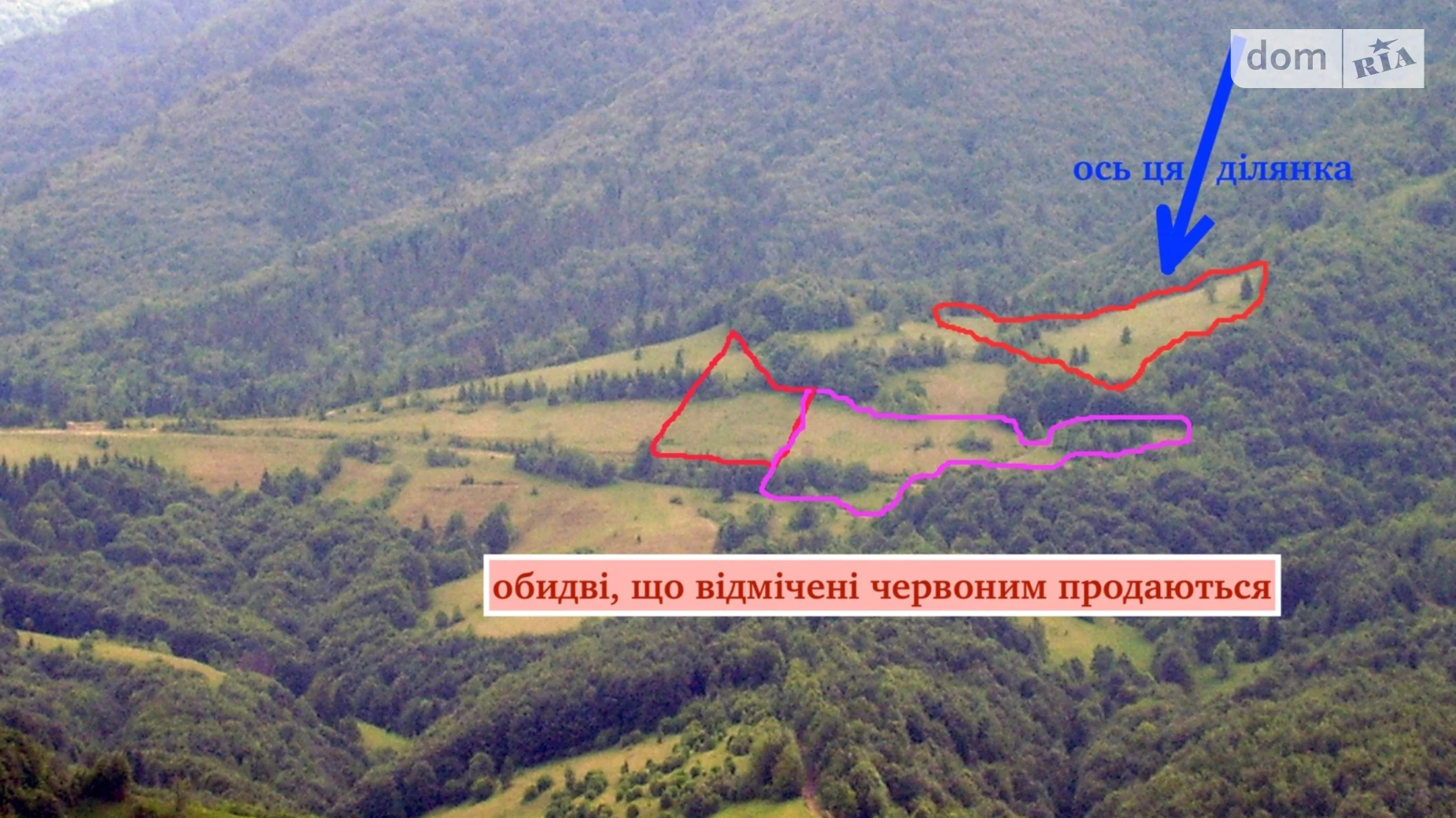 Продается земельный участок 1.4008 соток в Закарпатской области, цена: 63000 $ - фото 3