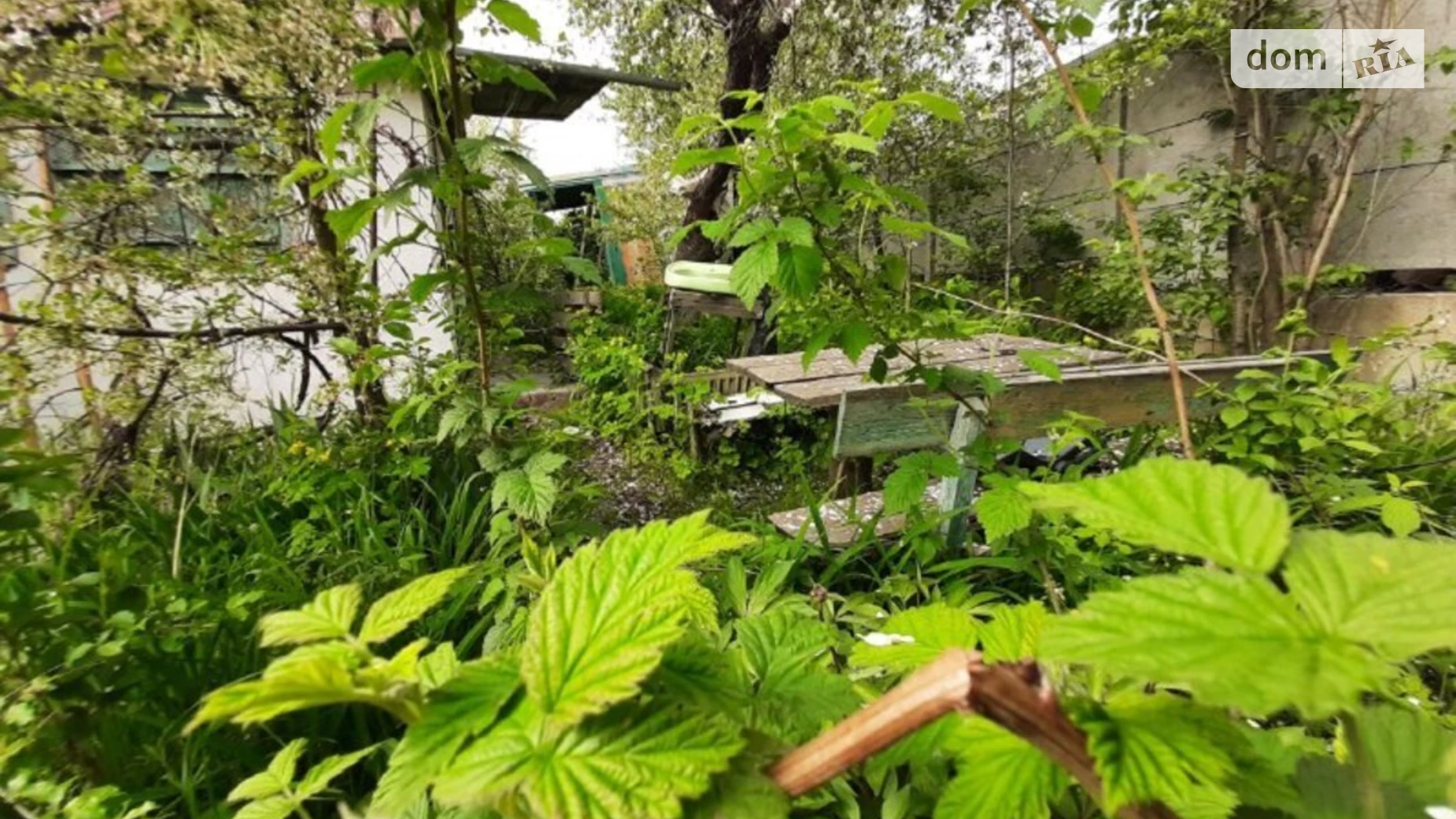 пер. Сентябрьский, 15 Агрономичное, цена: 60000 $ - фото 3