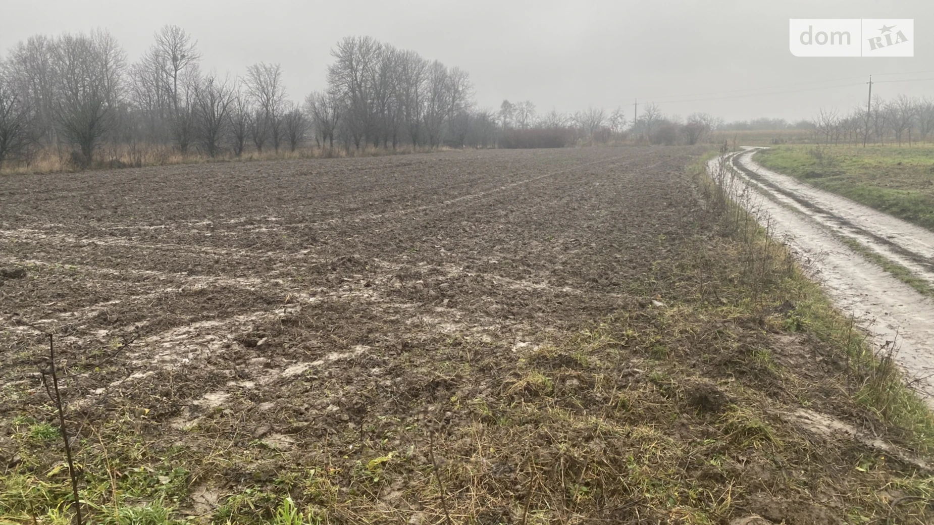 Продается земельный участок 20.5 соток в Винницкой области, цена: 8000 $ - фото 3