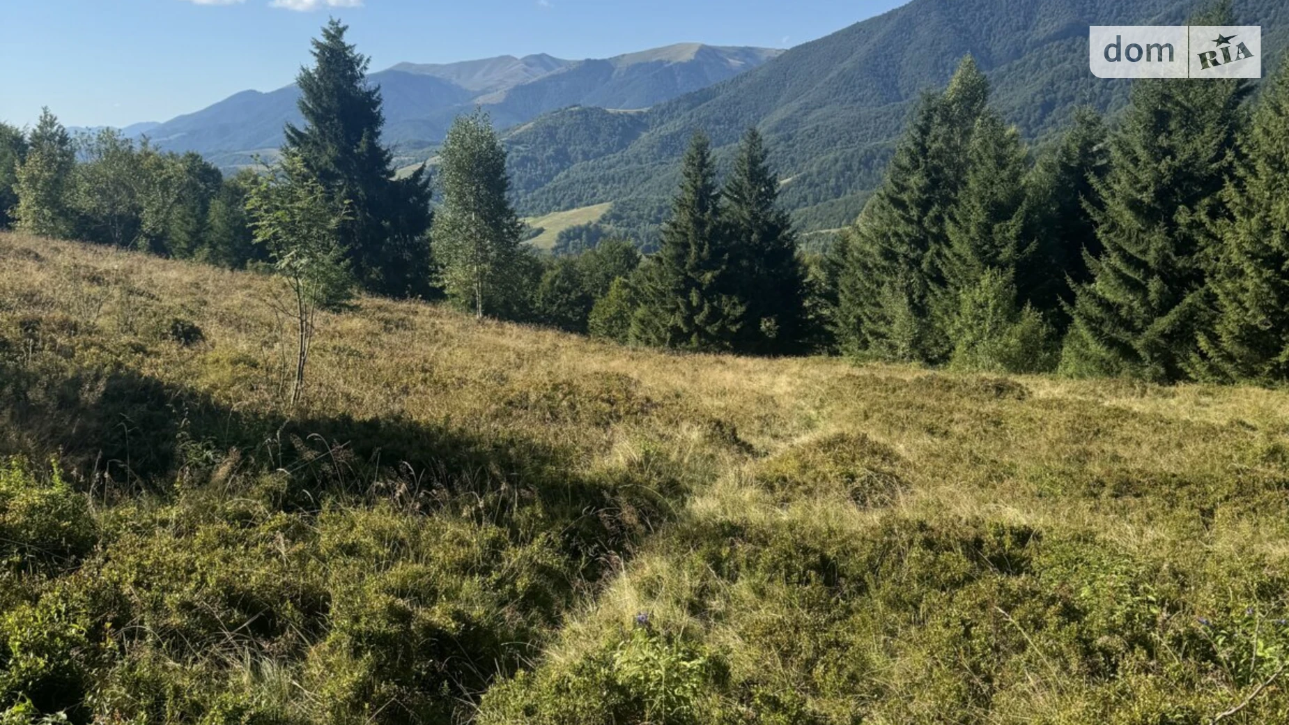 Продается земельный участок 0.4692 соток в Закарпатской области, цена: 23500 $ - фото 2