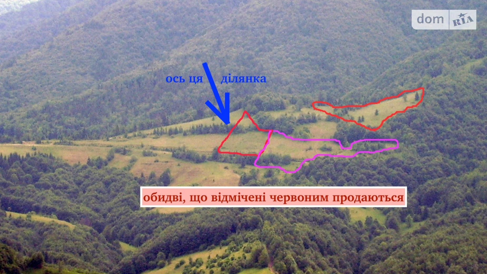 Продается земельный участок 0.4692 соток в Закарпатской области, цена: 23500 $ - фото 3