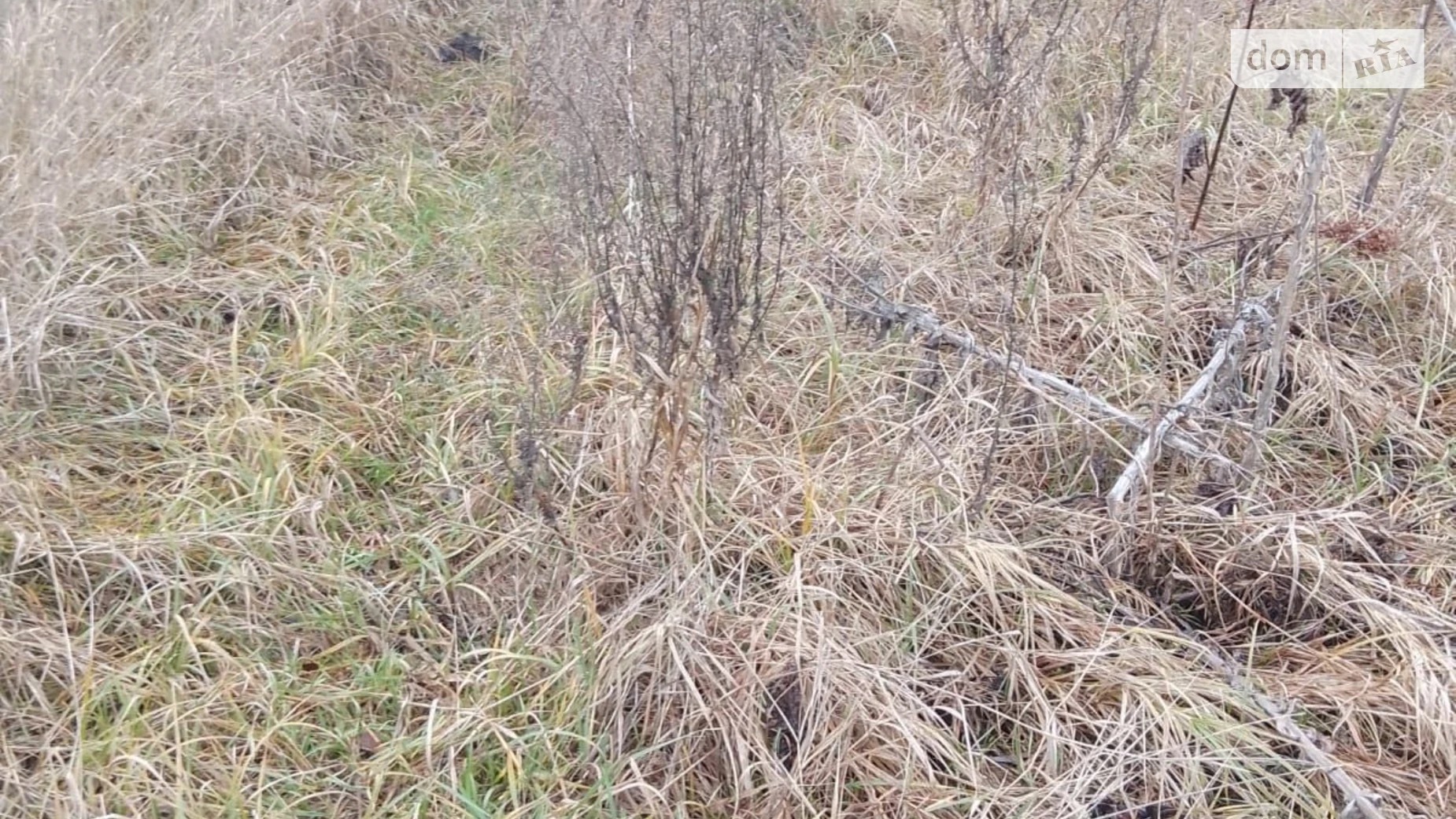 Малая Ольшанка (Белая Церковь), цена: 1940 грн - фото 2